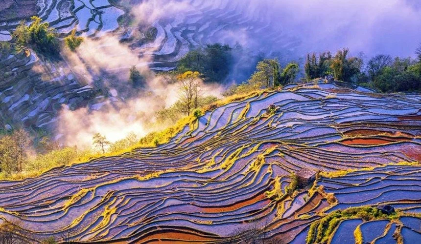 yuanyang rice terraces best places to visit china in autumn