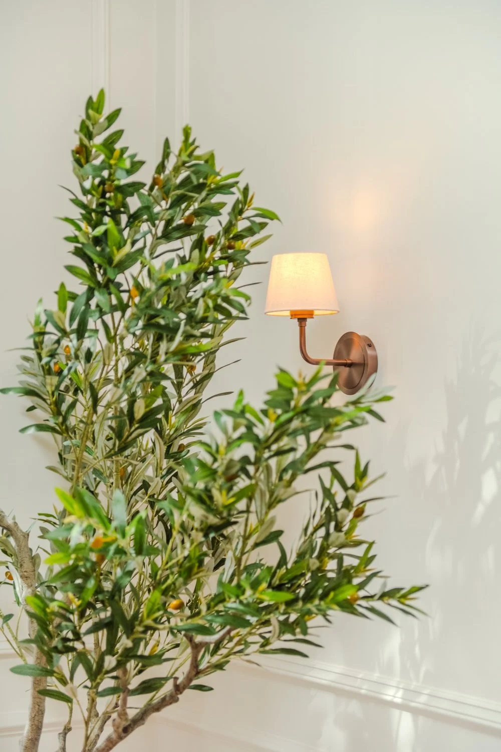Indoor wall light fixture with beige lampshade next to a tall green indoor plant with small yellowish-green berries, against a plain light-colored wall.