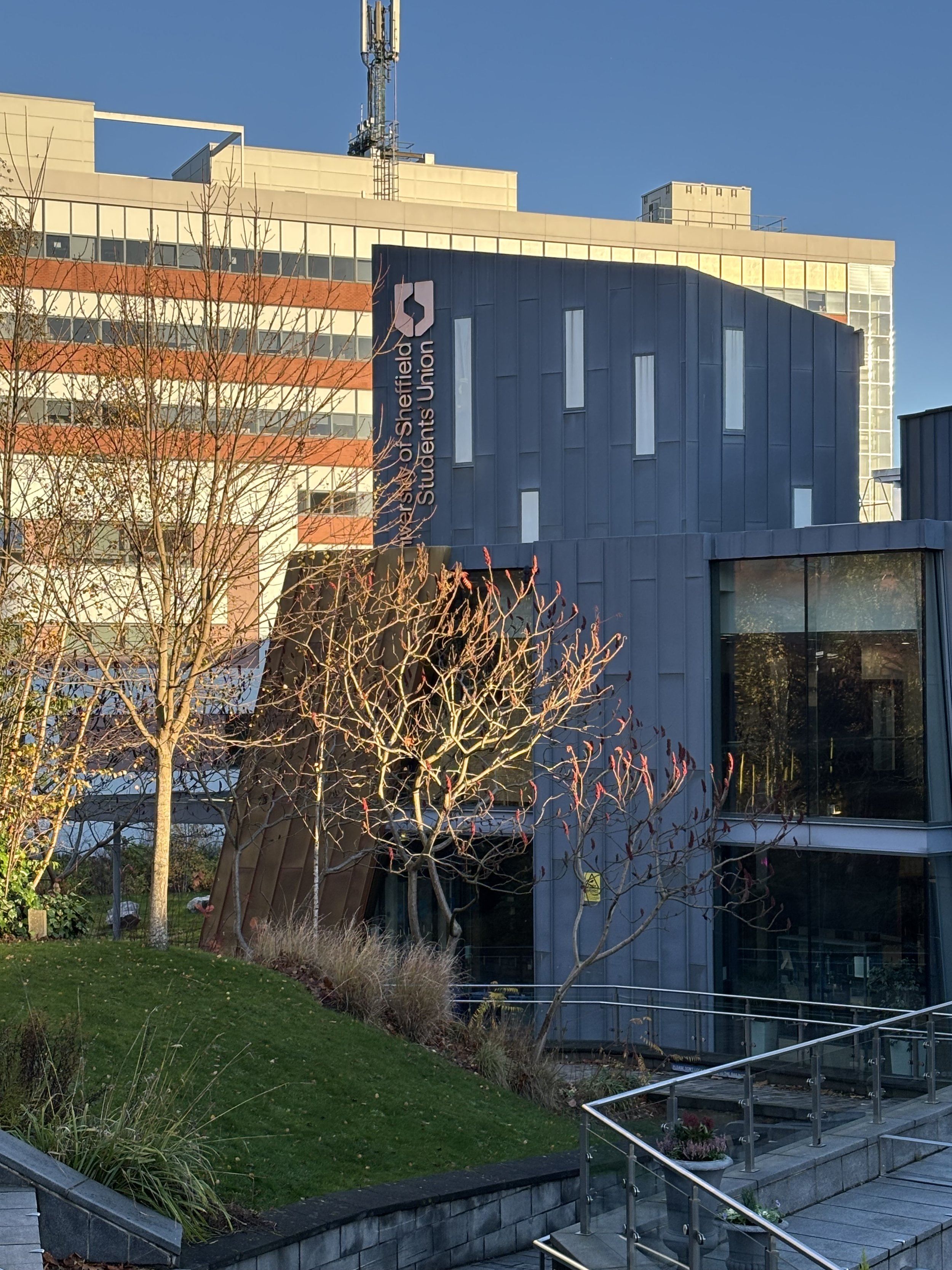 University of Sheffield International Foundation Year
