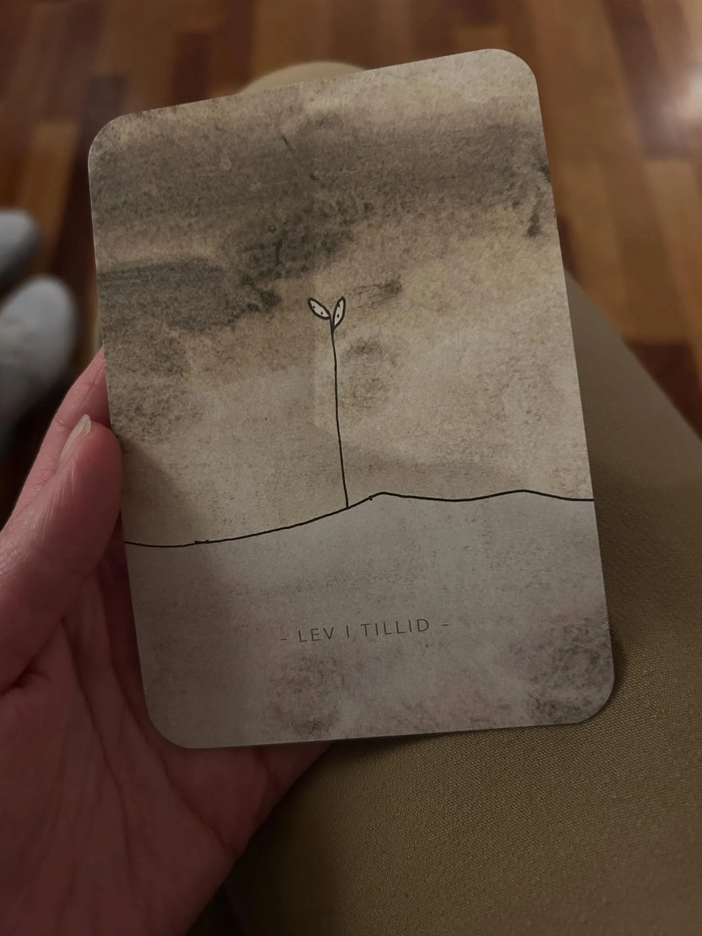 Jeg har gjort en privat investering i mig selv og deltager p&aring; @christina_taabbel_baekgaard uddannelse: Dit Intuitive Lederskab.
Jeg modtog til sidste session f&oslash;lgende budskab &ndash; m&aring;ske det ogs&aring; resonerer hos/i dig 🌱
&n