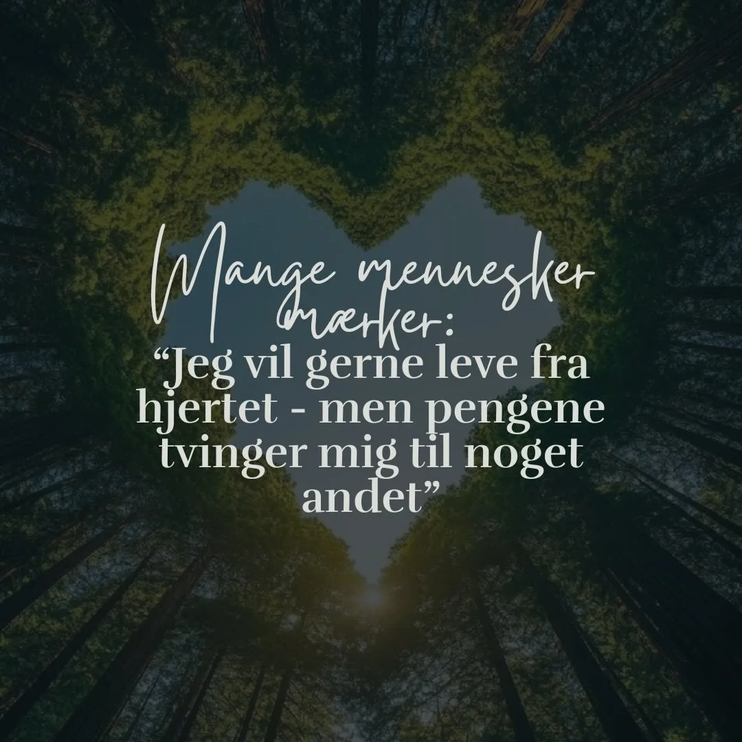 Mange af os fors&oslash;ger at skabe et liv fra hjertet i et system, der er formet af frygt, kontrol og overlevelse.

N&aring;r der opst&aring;r sp&aelig;nding mellem v&aelig;rdier og &oslash;konomi, er det ikke et individuelt svigt &ndash;
men et 