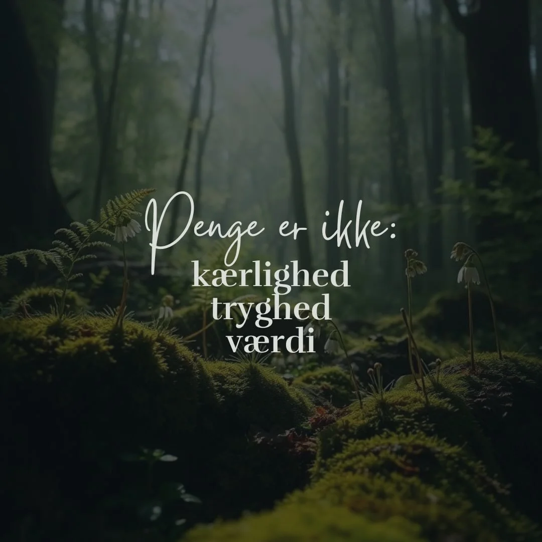 Vi kommer ofte til at l&aelig;gge l&aelig;ngsler, frygt og h&aring;b over i noget, der i sig selv er neutralt.
&nbsp;
Penge kan ikke give os k&aelig;rlighed, tryghed eller v&aelig;rdi.

Men de kan spejle, hvordan vi relaterer
&ndash; til os selv