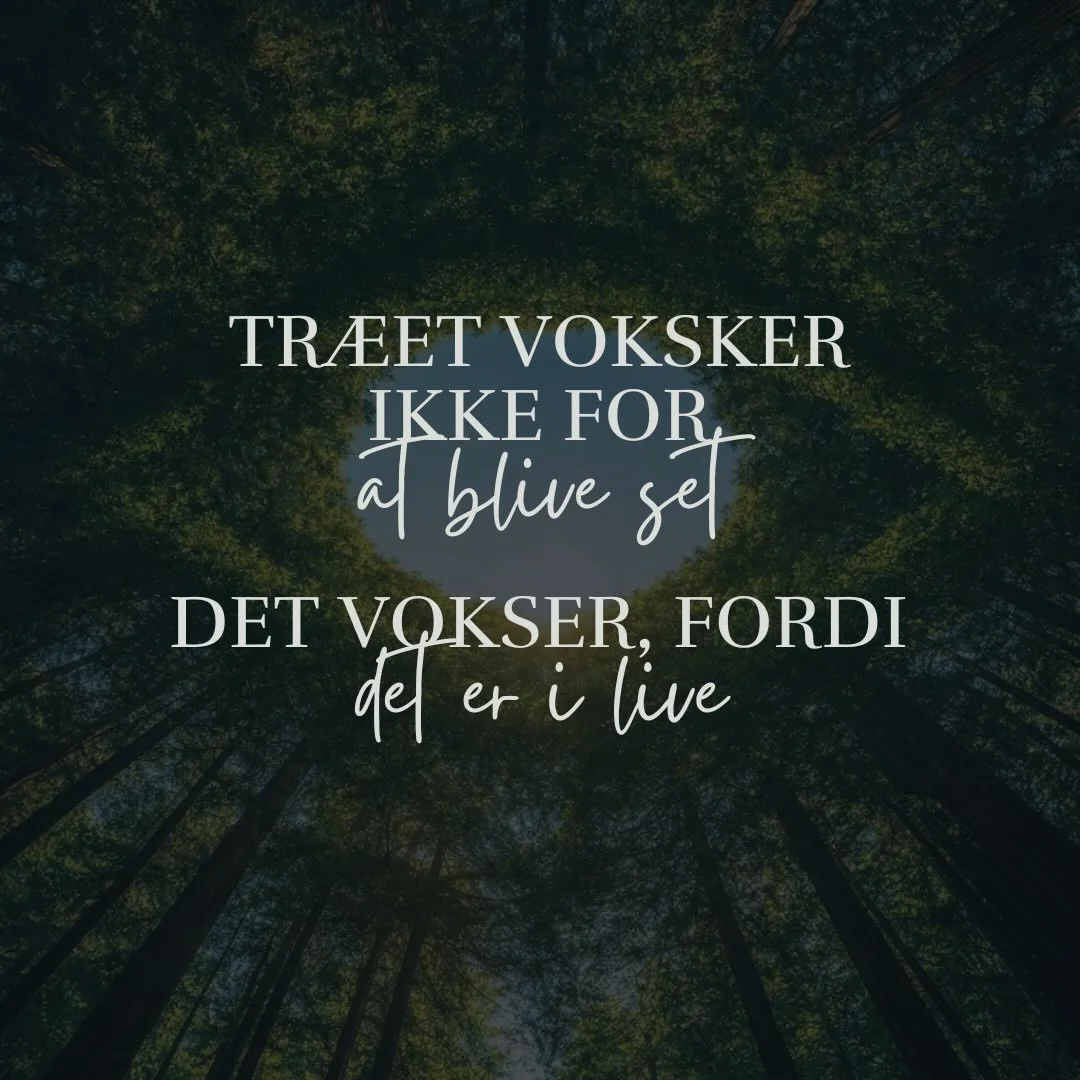 Lag 12 i relationen til penge handler om form&aring;l og mening.

Om at lade &oslash;konomi v&aelig;re i tjeneste for livet &ndash; ikke omvendt.

N&aring;r retning erstatter pres, kan frugten gives frit.

Ikke for at pr&aelig;stere.
Men for at