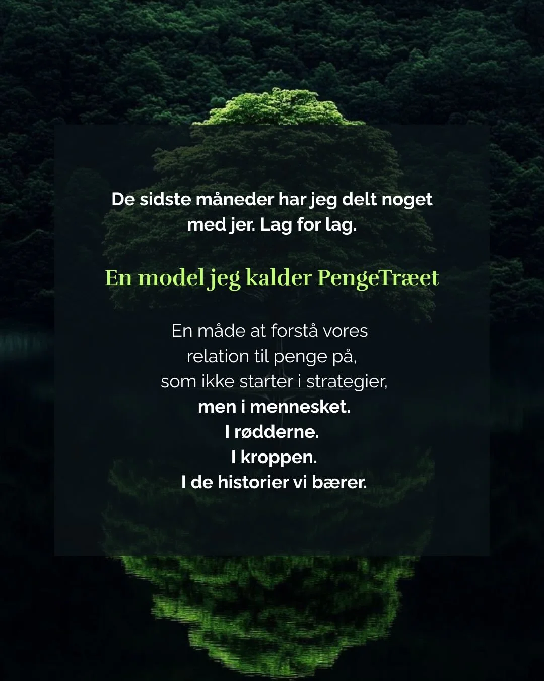 De sidste m&aring;neder har jeg delt noget med jer.
Lag for lag.
&nbsp;
En model jeg kalder PengeTr&aelig;et 🌳
&nbsp;
En m&aring;de at forst&aring; vores relation til penge p&aring;, som ikke starter i strategier, men i mennesket.
I r&oslash;d