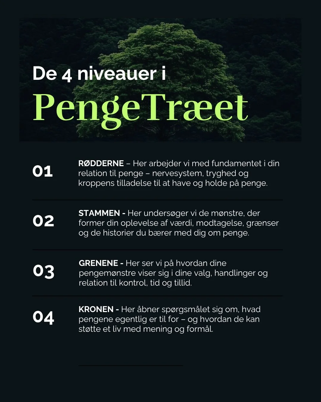 P&aring; forl&oslash;bet PengeTr&aelig;et 🌳 arbejder med vores relation til penge fra r&oslash;dder til krone.
&nbsp;
N&aring;r vi &oslash;nsker at &aelig;ndre vores relation til penge, begynder mange i grenene &ndash; i strategier, budgetter elle