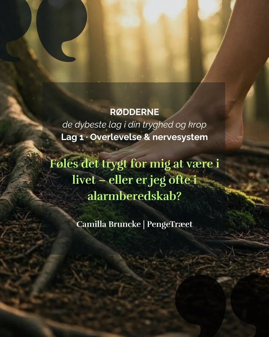 LAG 1 &middot; OVERLEVELSE &amp; NERVESYSTEM
R&oslash;dderne&nbsp;- de dybeste lag i din tryghed og krop
&nbsp;
Det f&oslash;rste lag i PengeTr&aelig;et&nbsp;handler ikke om penge.
Det handler om tryghed.
Om dit nervesystem.

Om hvorvidt din k