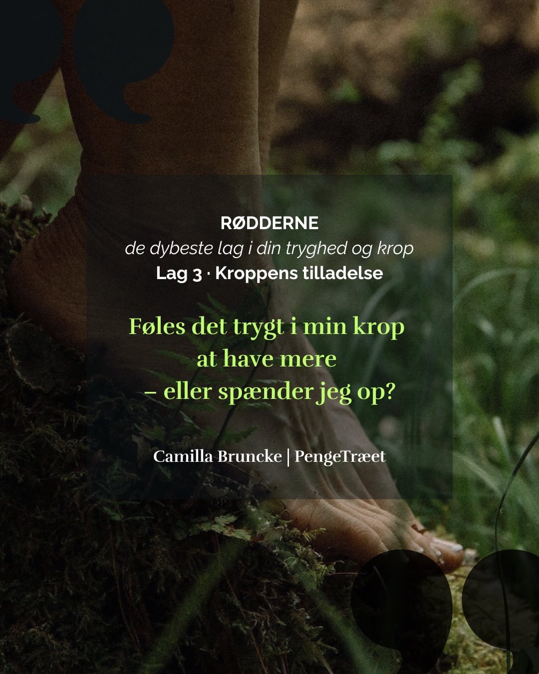 LAG 3 &middot; KROPPENS TILLADELSE
R&oslash;dderne&nbsp;- de dybeste lag i din tryghed og krop
&nbsp;
Det er ikke altid tankerne, der holder os tilbage i vores relation til penge.
Det er kroppen.
&nbsp;
Den del af os, der 
sp&aelig;nder op
tr&