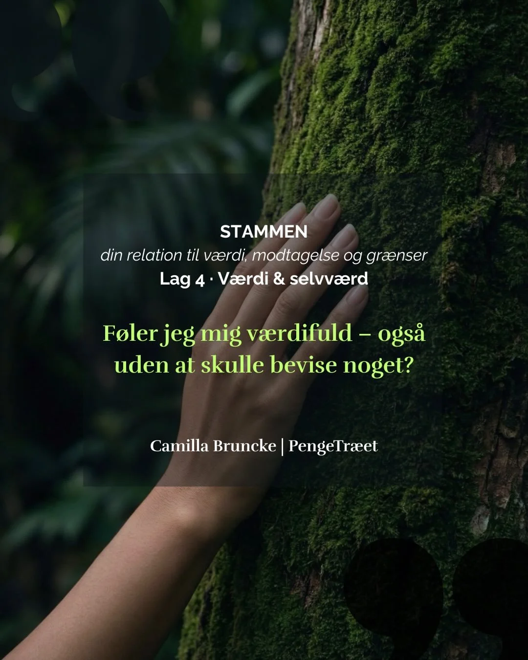 LAG 4 &middot; V&AElig;RDI &amp; SELVV&AElig;RD
Stammen&nbsp;- din relation til v&aelig;rdi, modtagelse og gr&aelig;nser
&nbsp;
Du vil gerne tjene flere penge.
Men f&oslash;les du egentlig v&aelig;rdifuld nok til at have dem?
&nbsp;
Det her er 