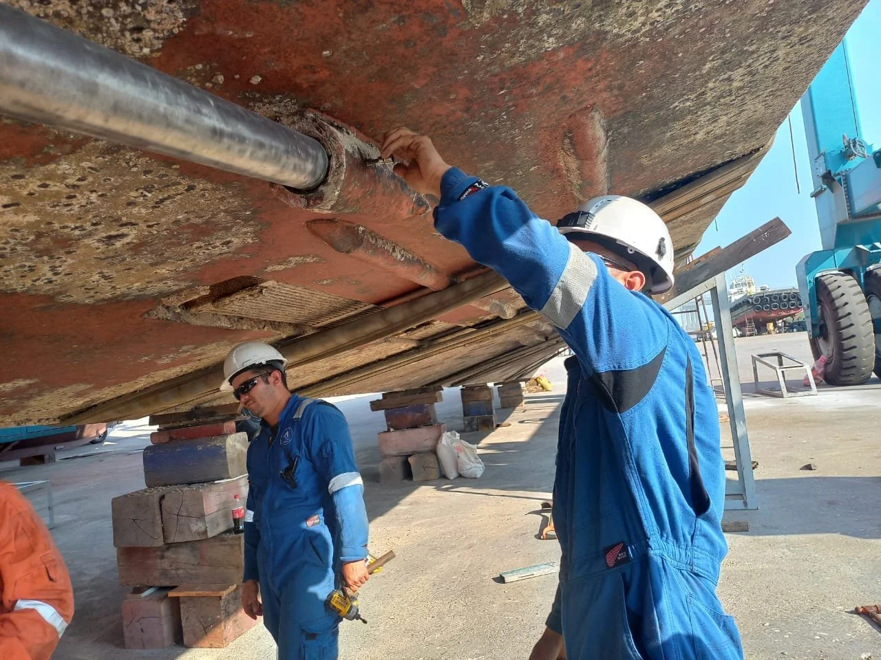 WhatsApp Image 2024-11-08 at 11.33.22 AM (2).jpeg