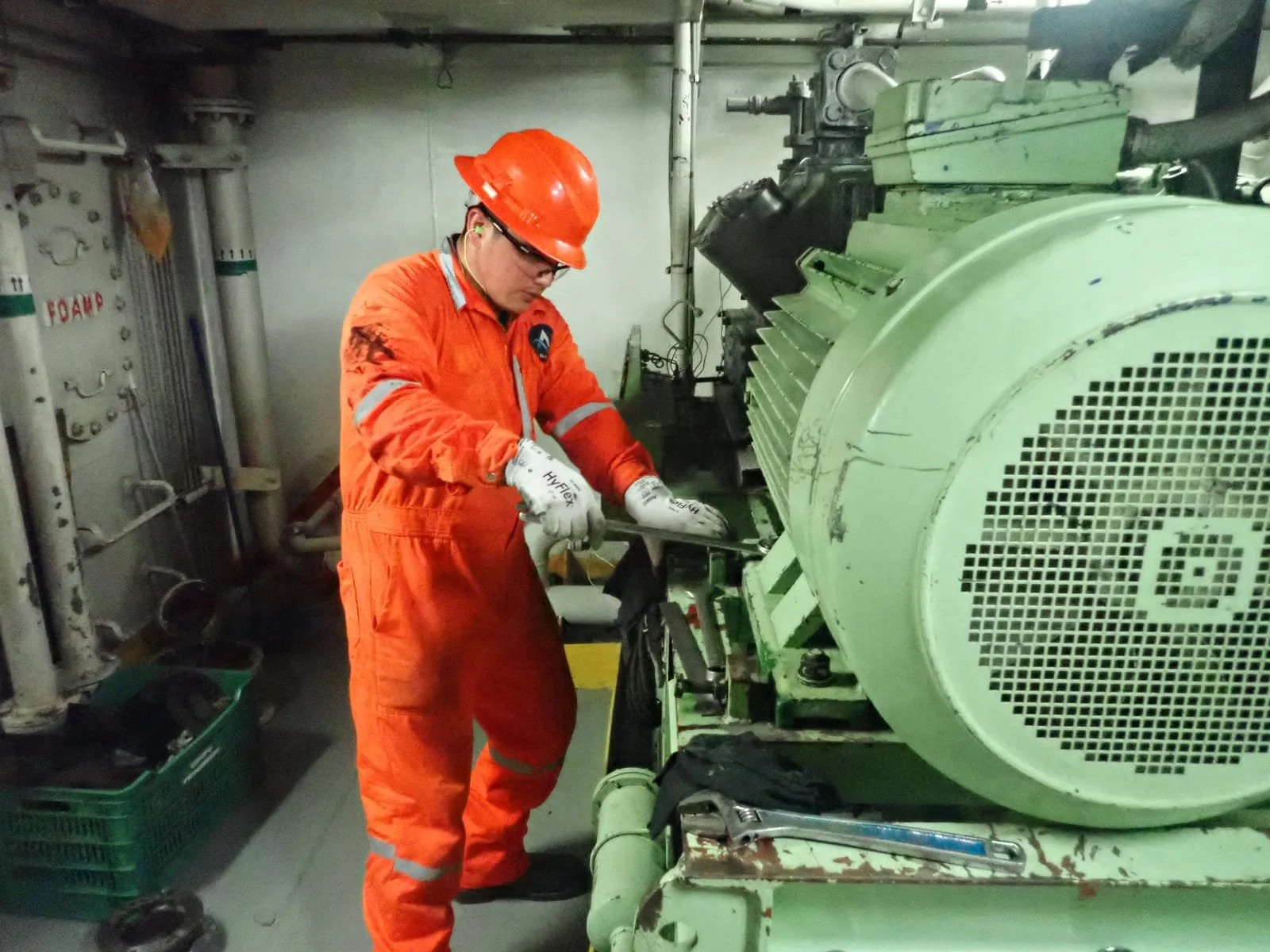 WhatsApp Image 2024-11-08 at 12.34.18 PM.jpeg