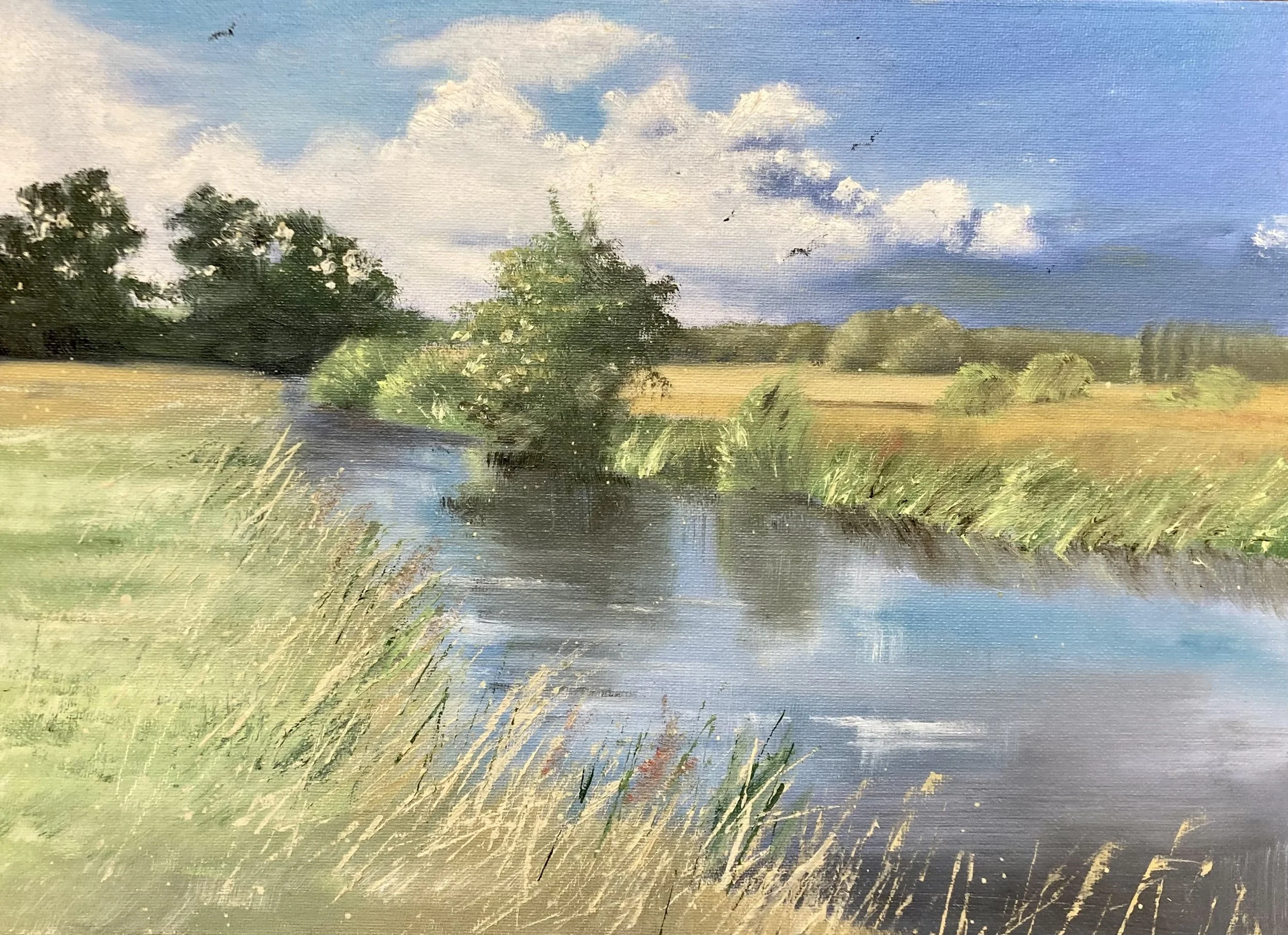 Rachael Alexander: On Water Reflections