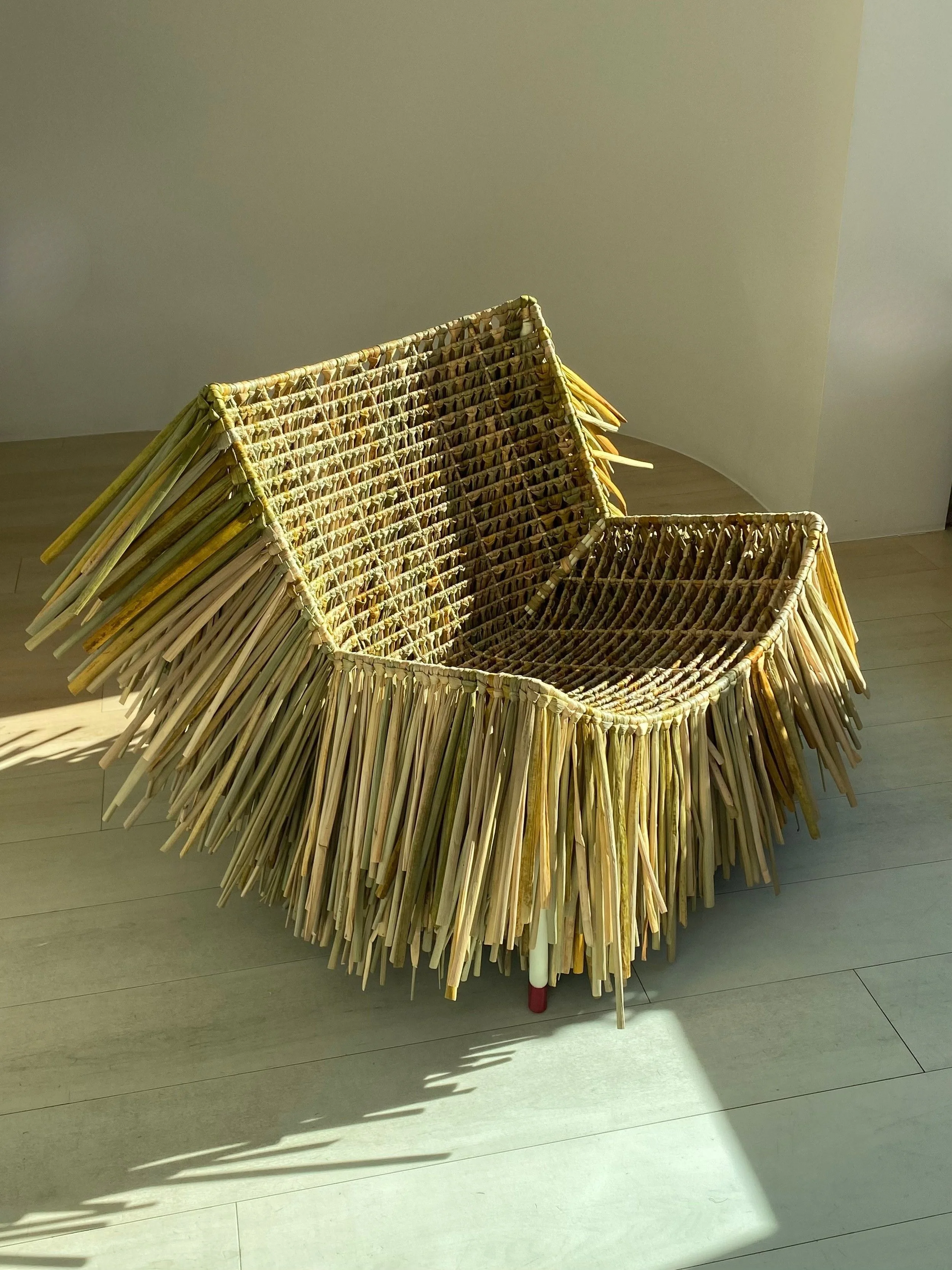 Untitled design (1).jpg