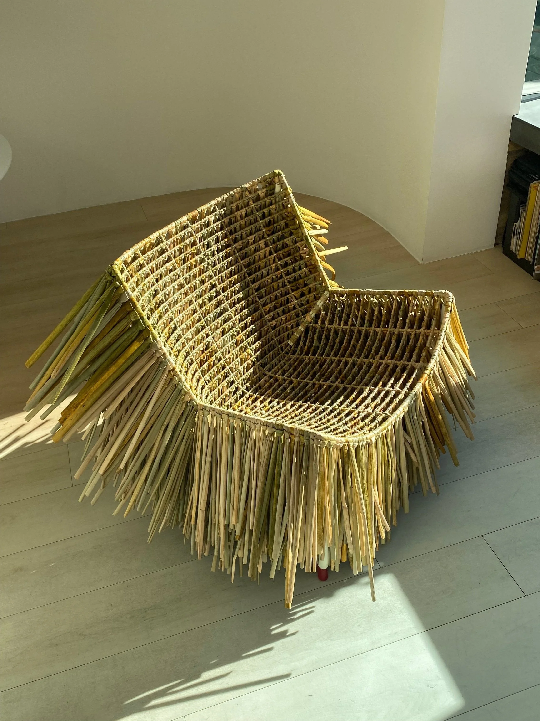 Untitled design (3).jpg