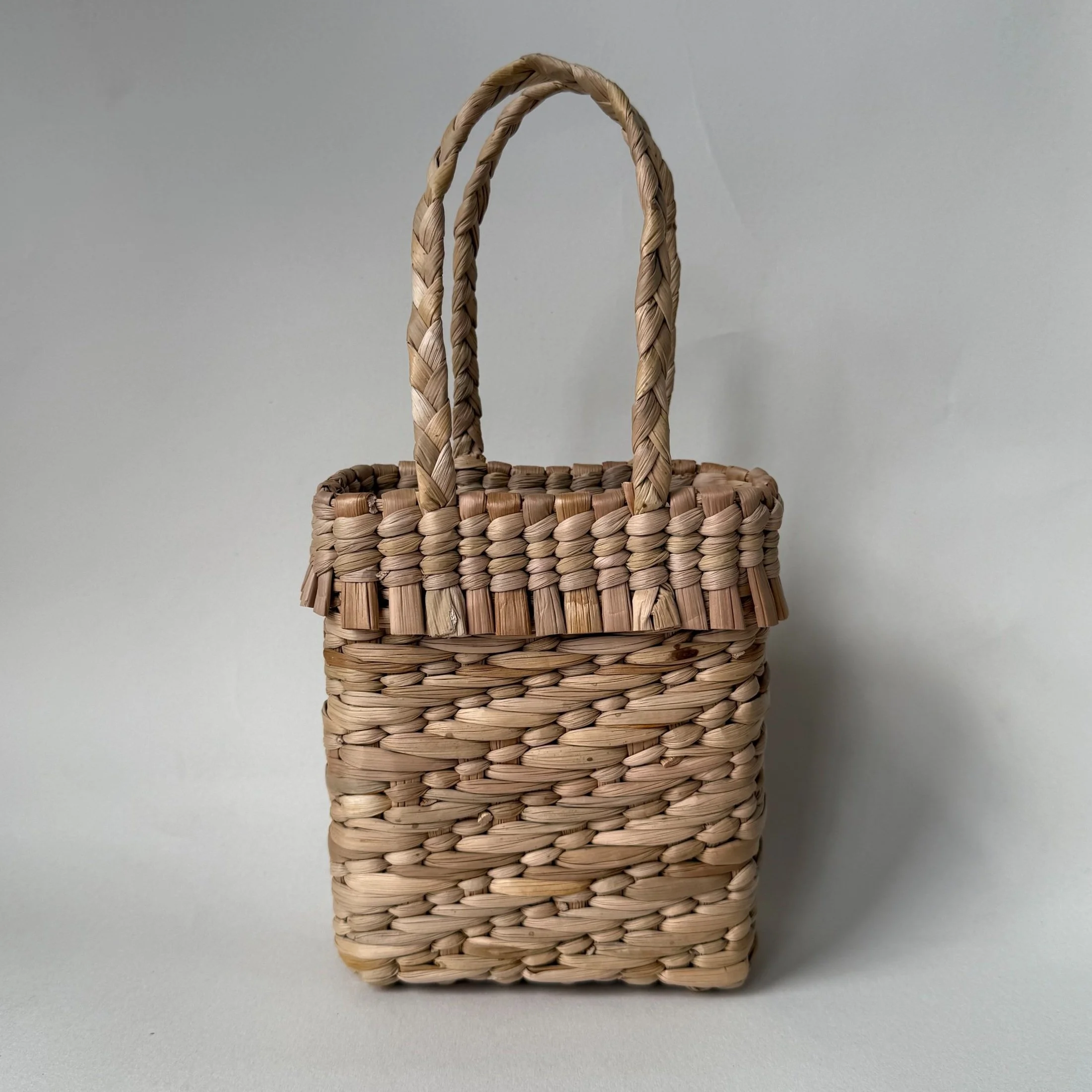 Blackberry Handbag