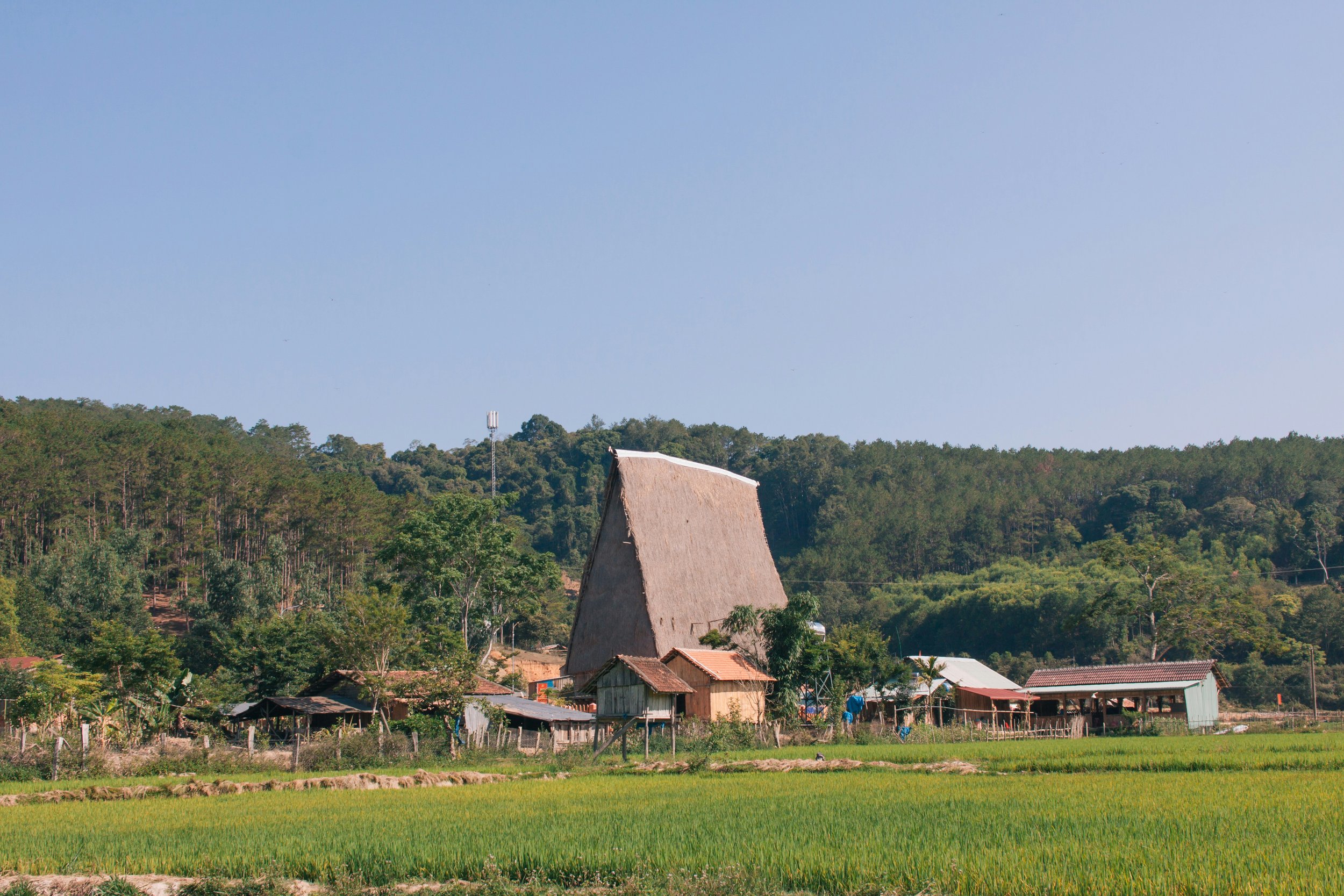 khanh-nguyen-dSGsyPdR4kM-unsplash.jpg