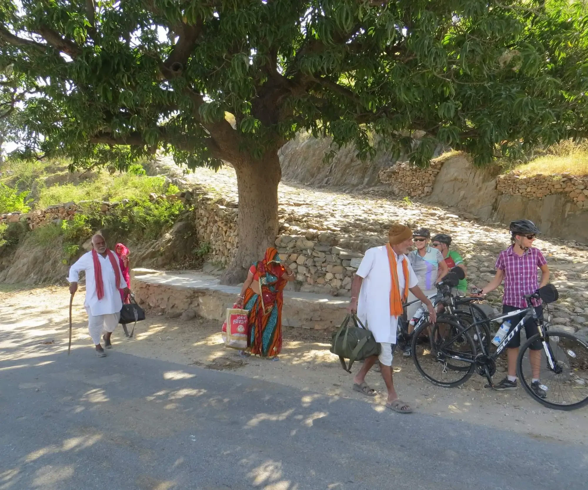 rajasthan_bike_tour_20_1e2550a2fe.webp