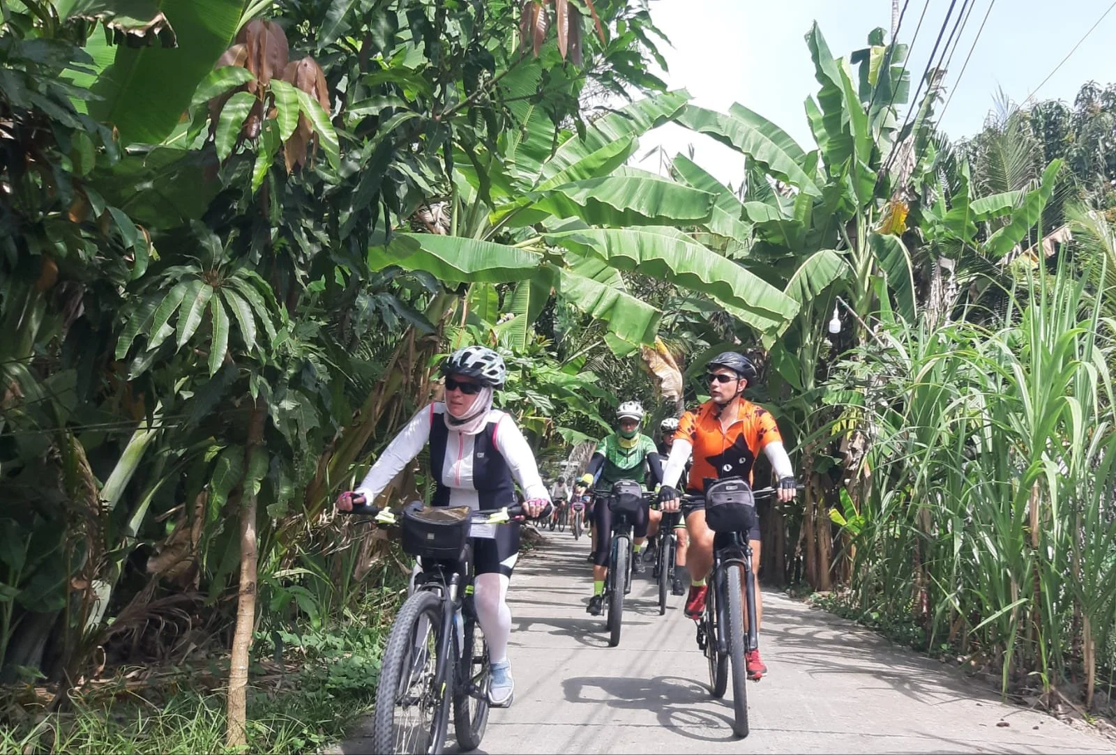 A group of four cyclists riding on a narrow paved path through lush green tropical vegetation, including banana plants and tall grasses, on a sunny day.