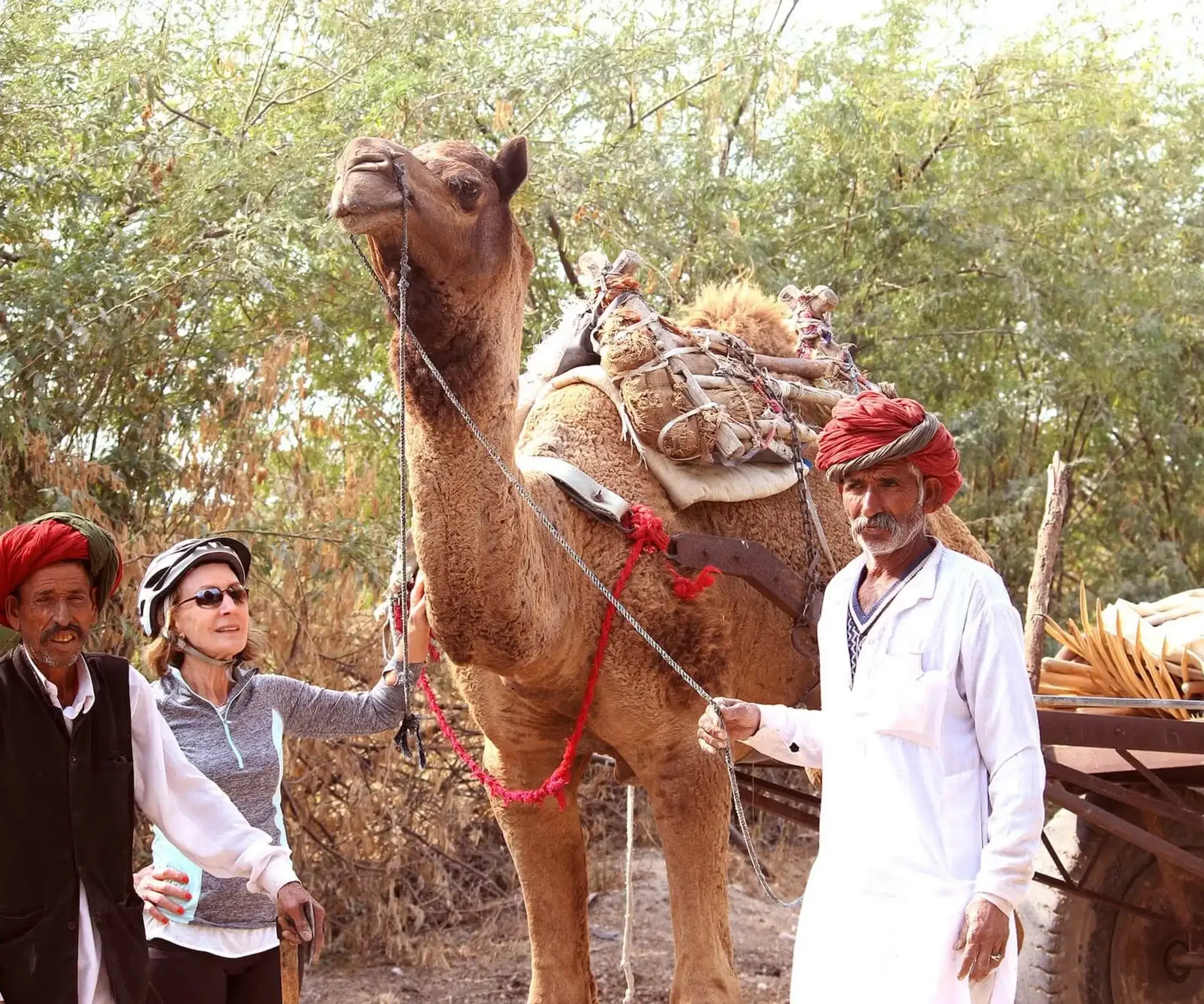 rajasthan_bike_tour_29_89a6234dd6.webp