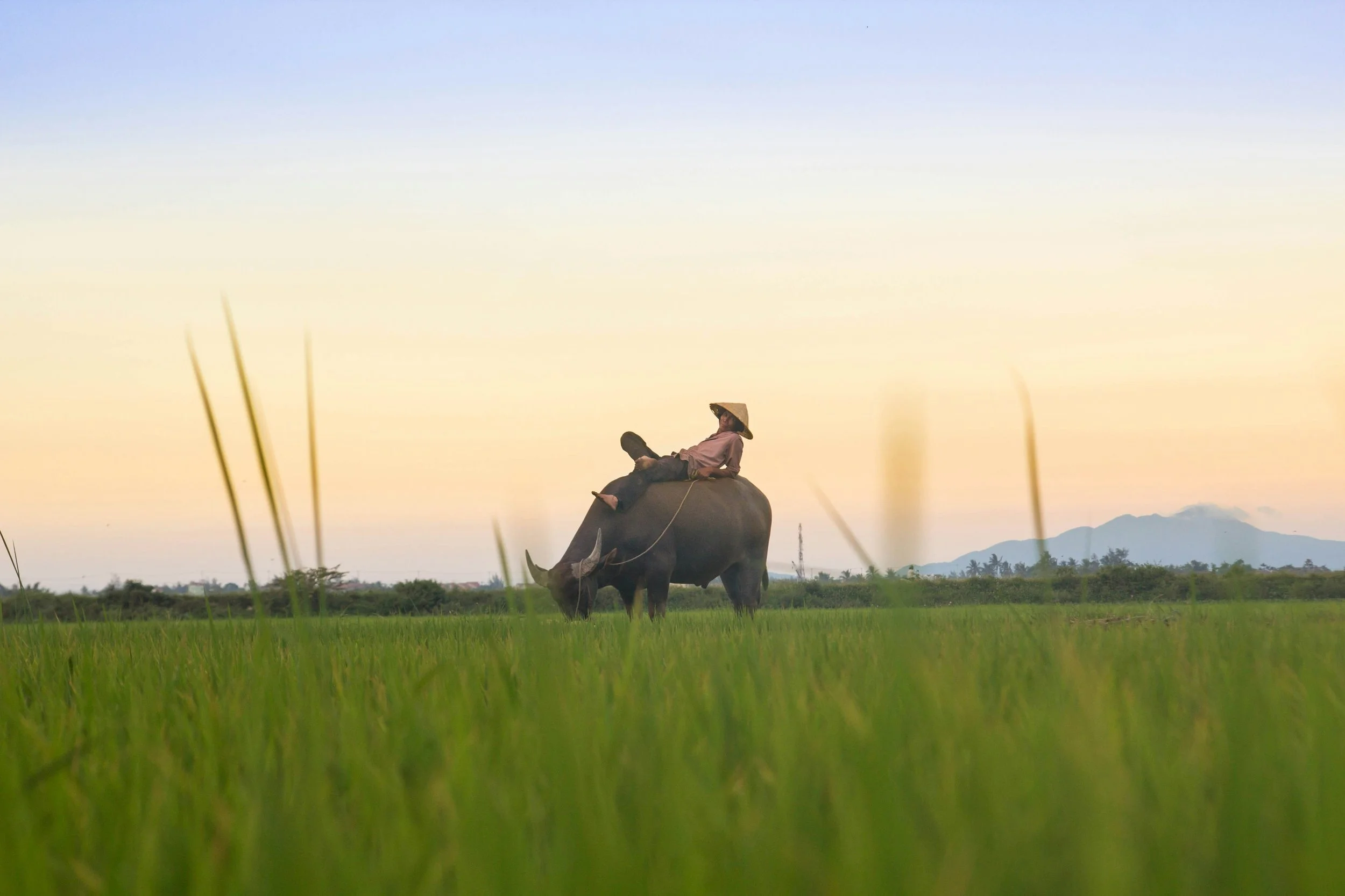 Pedaling Vietnam: Practical Tips for Your First Guided Cycling Tour