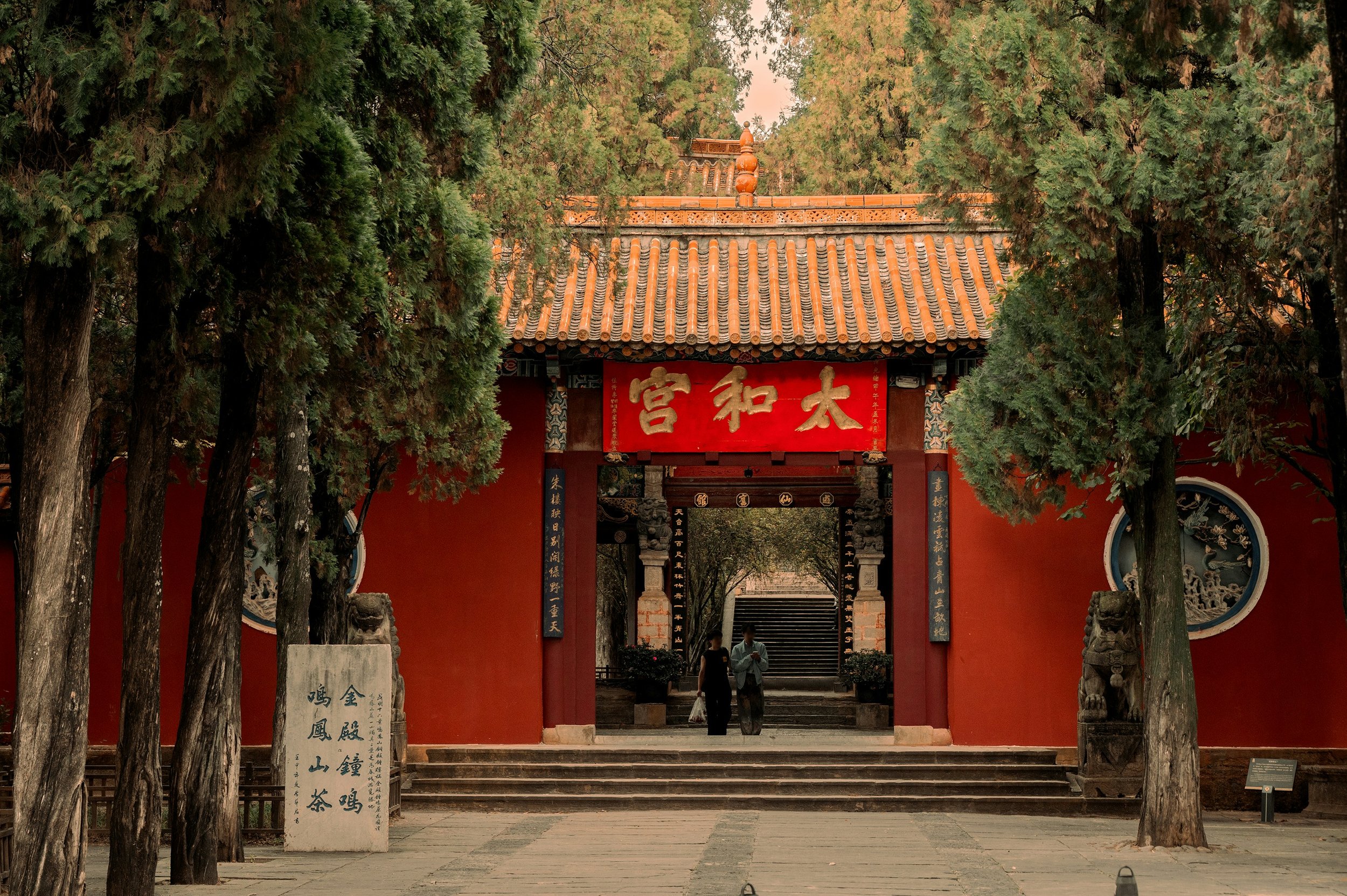 vincent-tint-yakoAoX_p88-unsplash.jpg