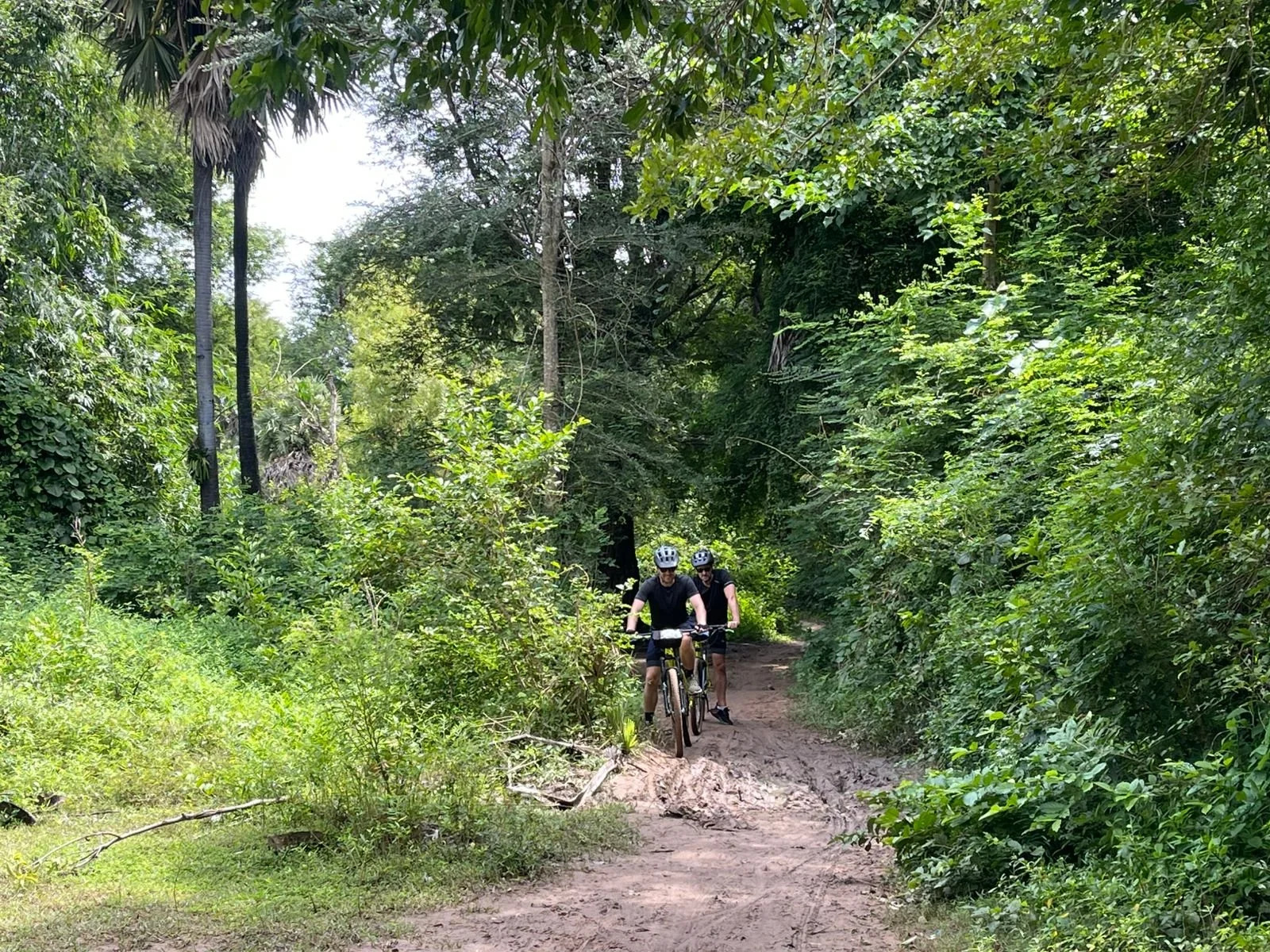 Two people riding mountain bikes on a dirt trail through dense green forest.
