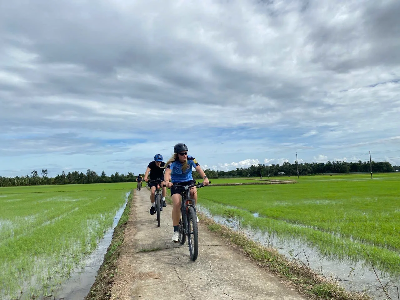 Three people riding bikes on a narrow path through a green rice field under a cloudy sky.
