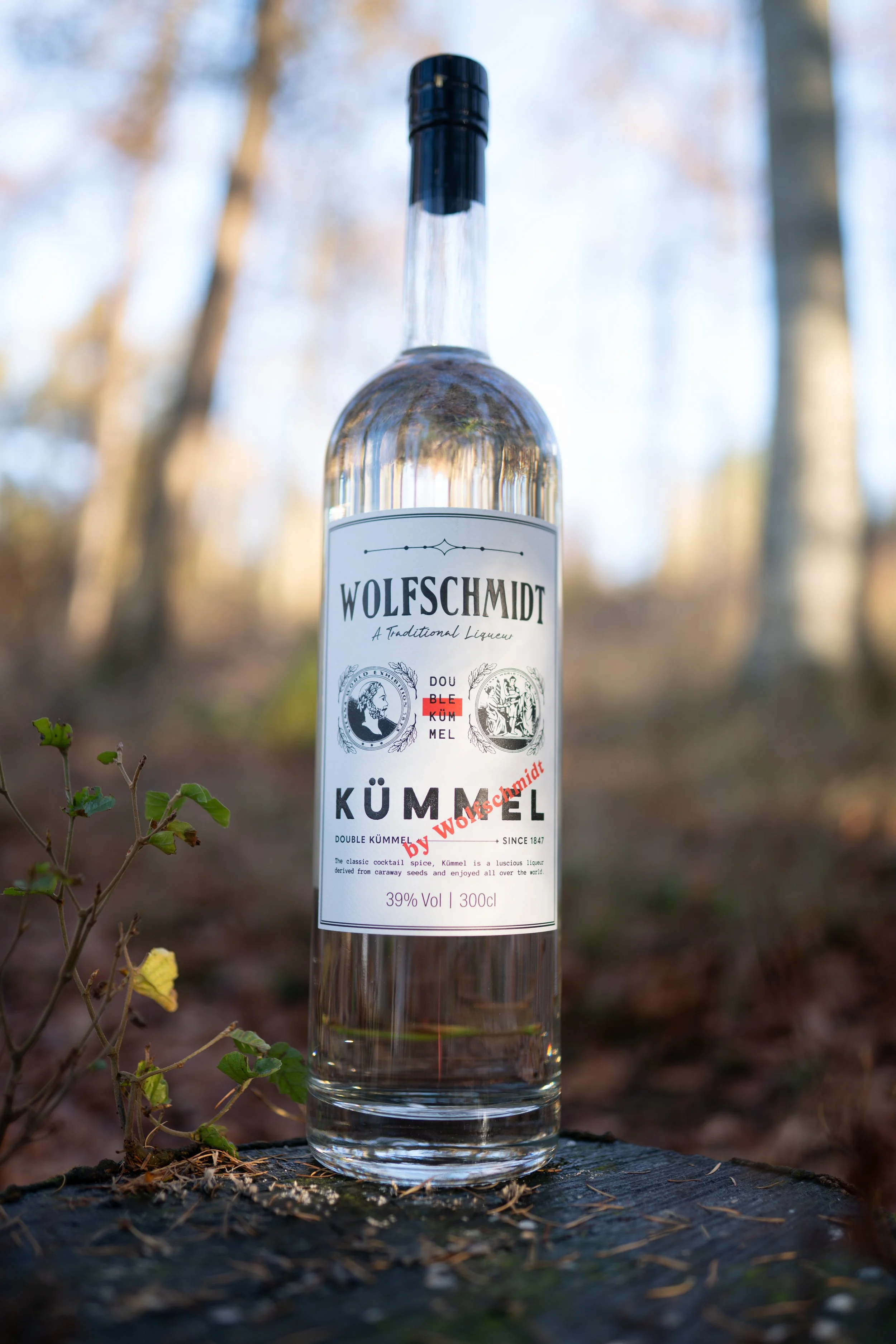 A clear glass bottle of Wolfschmidt Kümmel Double Magnum, a traditional liqueur, placed outdoors on a weathered wooden surface amid small plants. The background features blurred trees and sky, suggesting a forest or park setting.