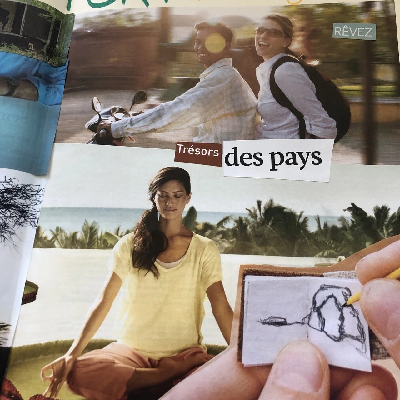 Collage - Trouver son ikigai avec le journal créatif.jpeg