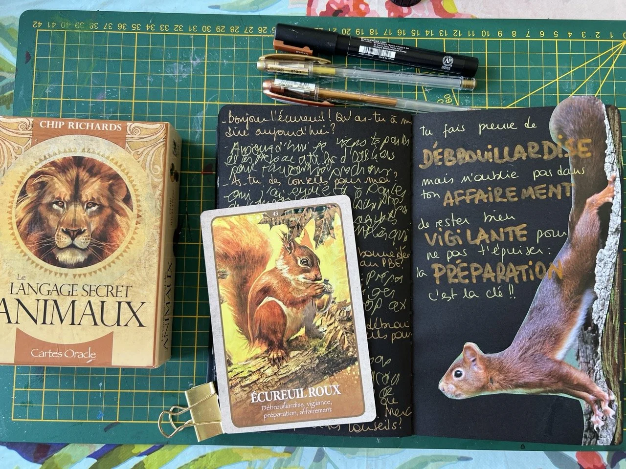 le langage secret des animaux journal créatif.jpeg