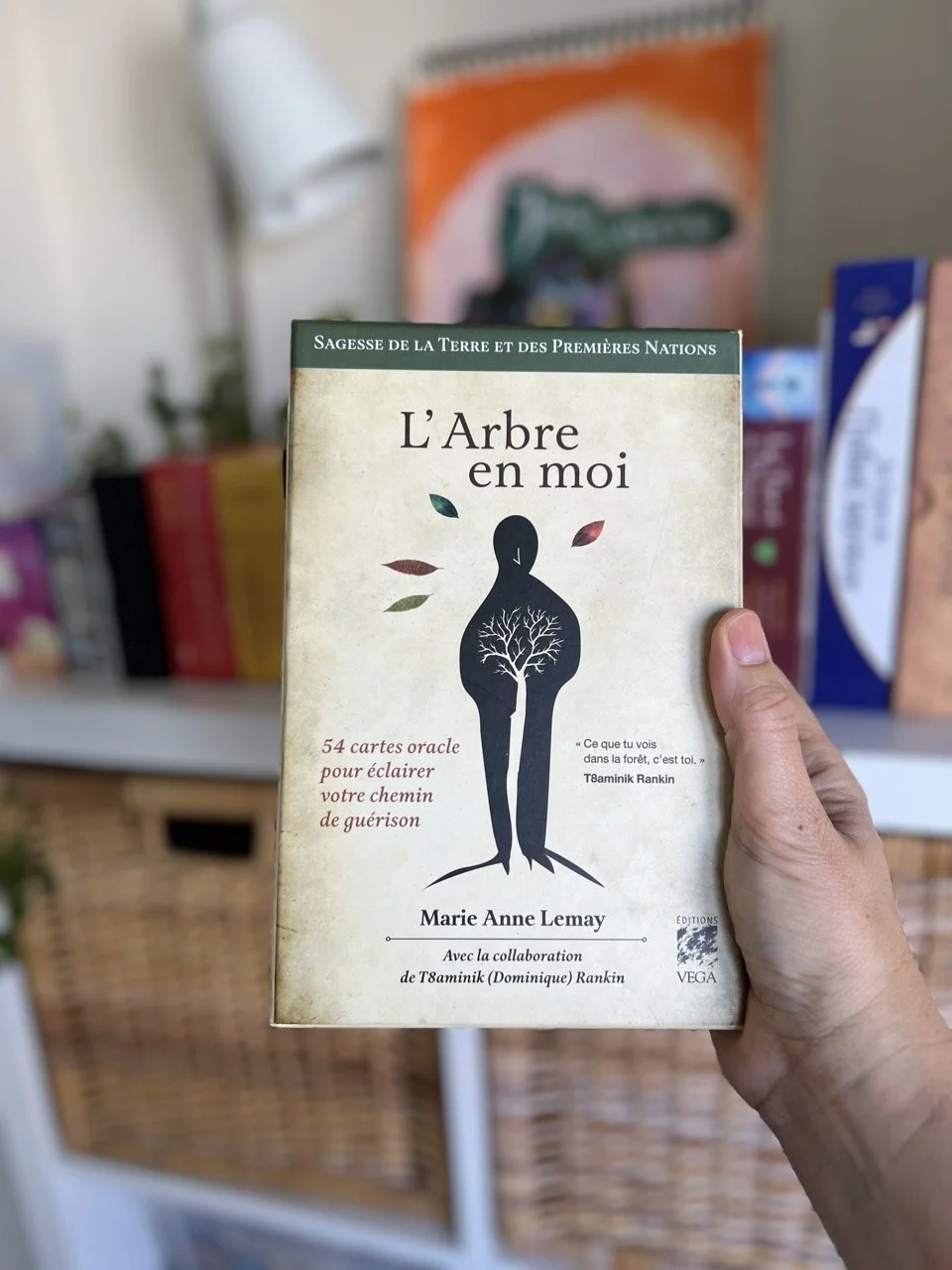 série d'été - présentation de l'arbre en moi.jpeg