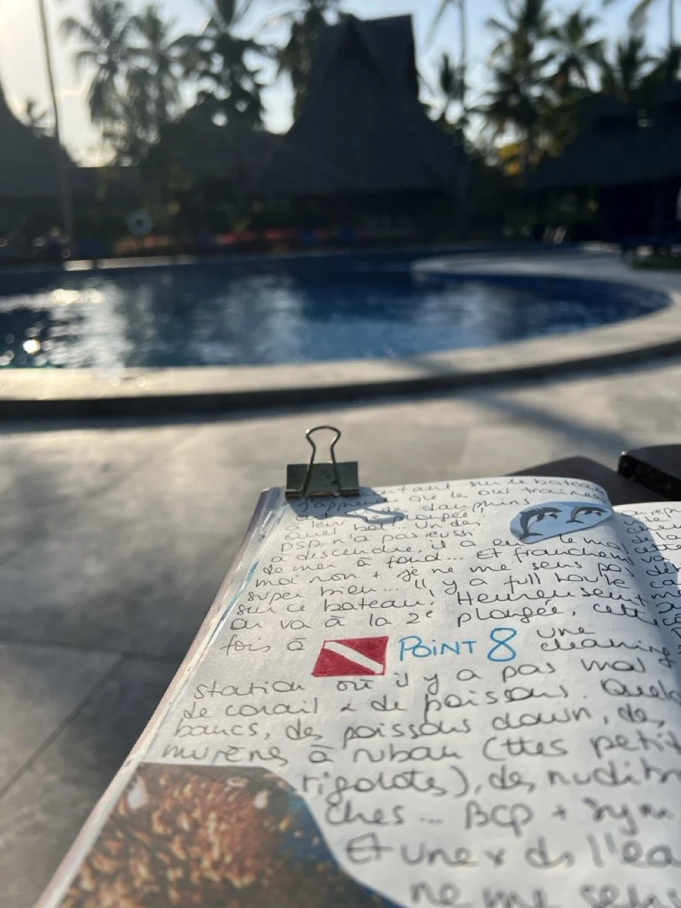 matériel journal créatif en vacances - écrire au bord de la piscine.jpeg
