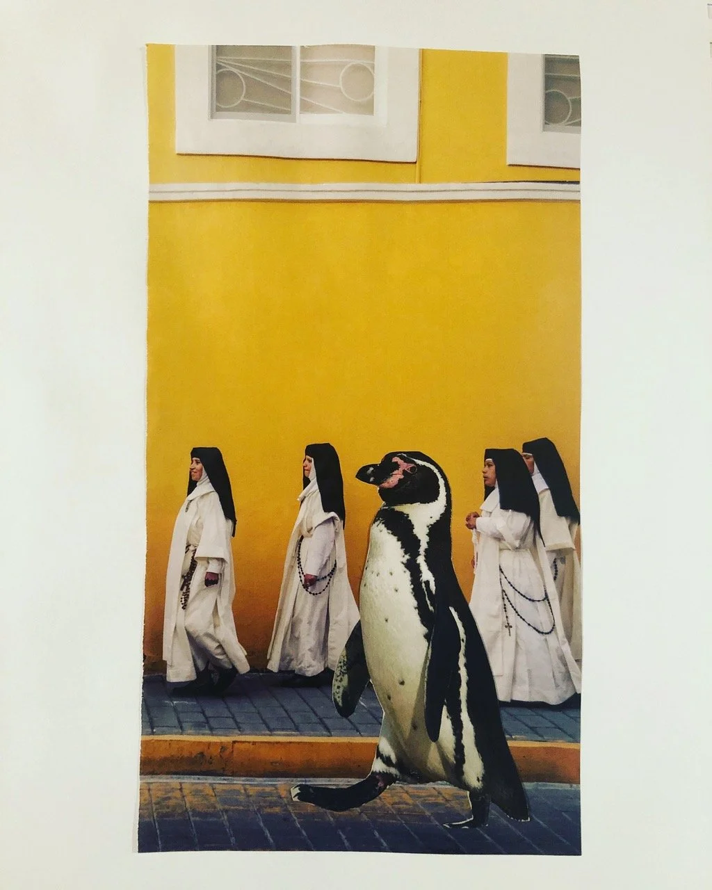 Februllage 2020 Oiseau.jpeg