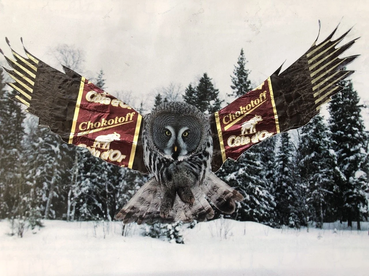 Februllage 2023 chocolat.jpeg