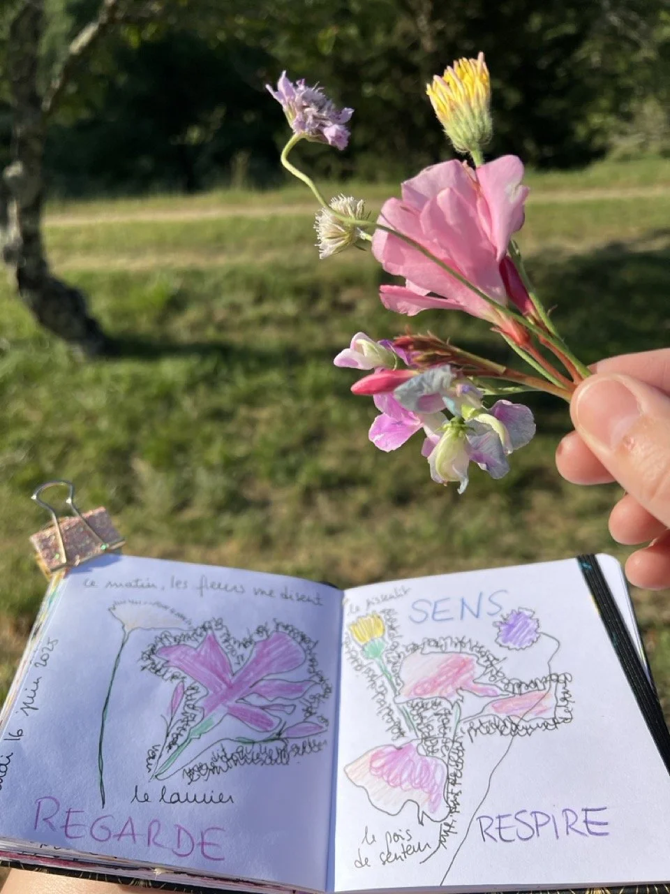 retraite créative provence verte 2025-pratique matinale.jpeg