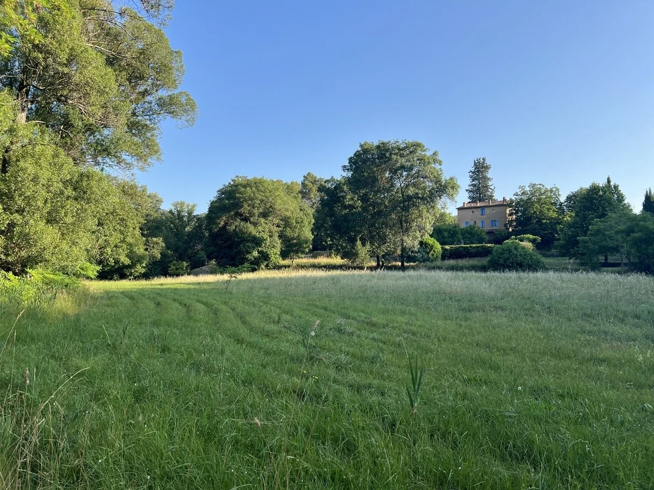 retraite créative provence verte 2025 le domaine.jpeg