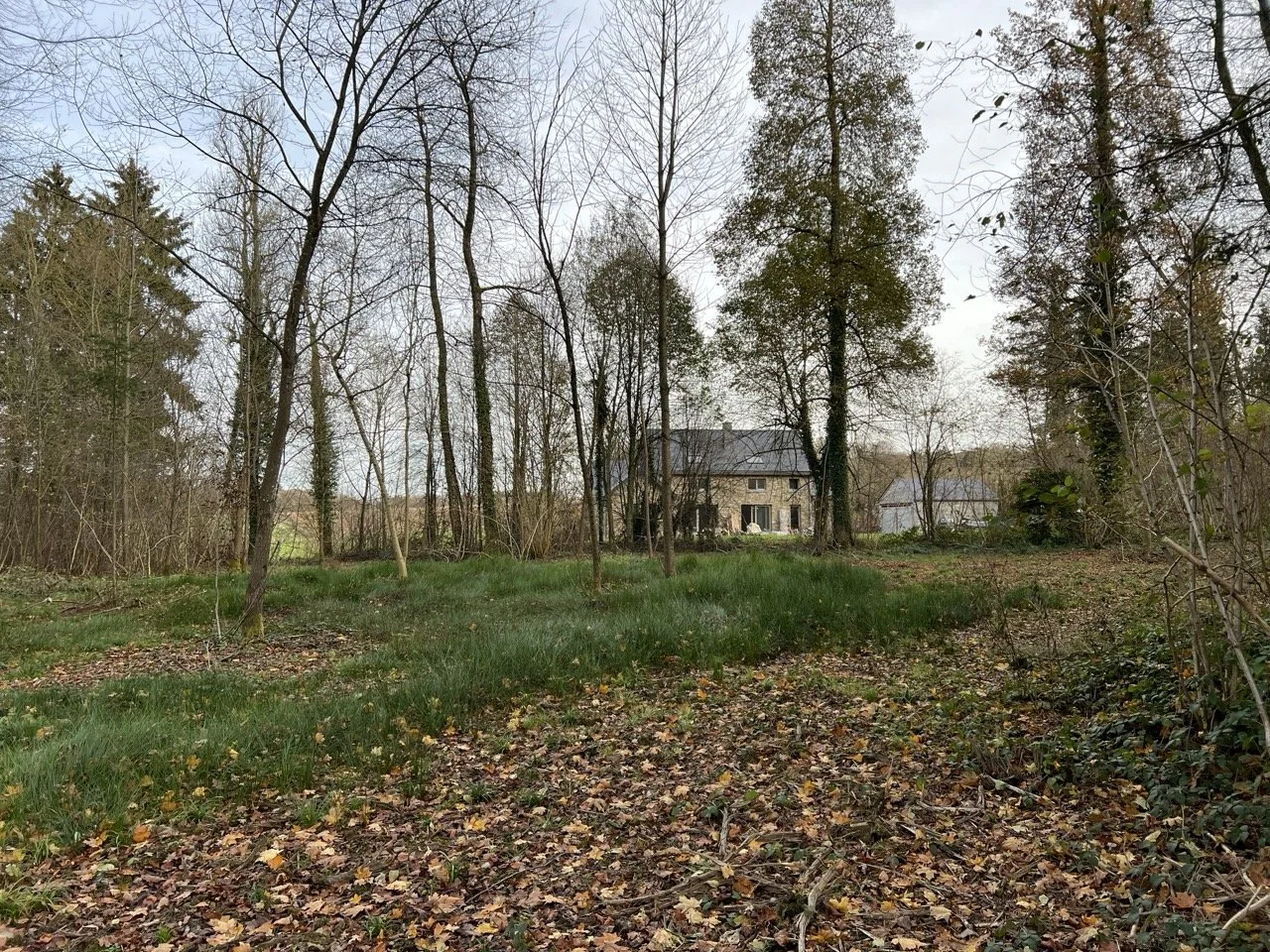 chalet tavier condroz en novembre.jpeg