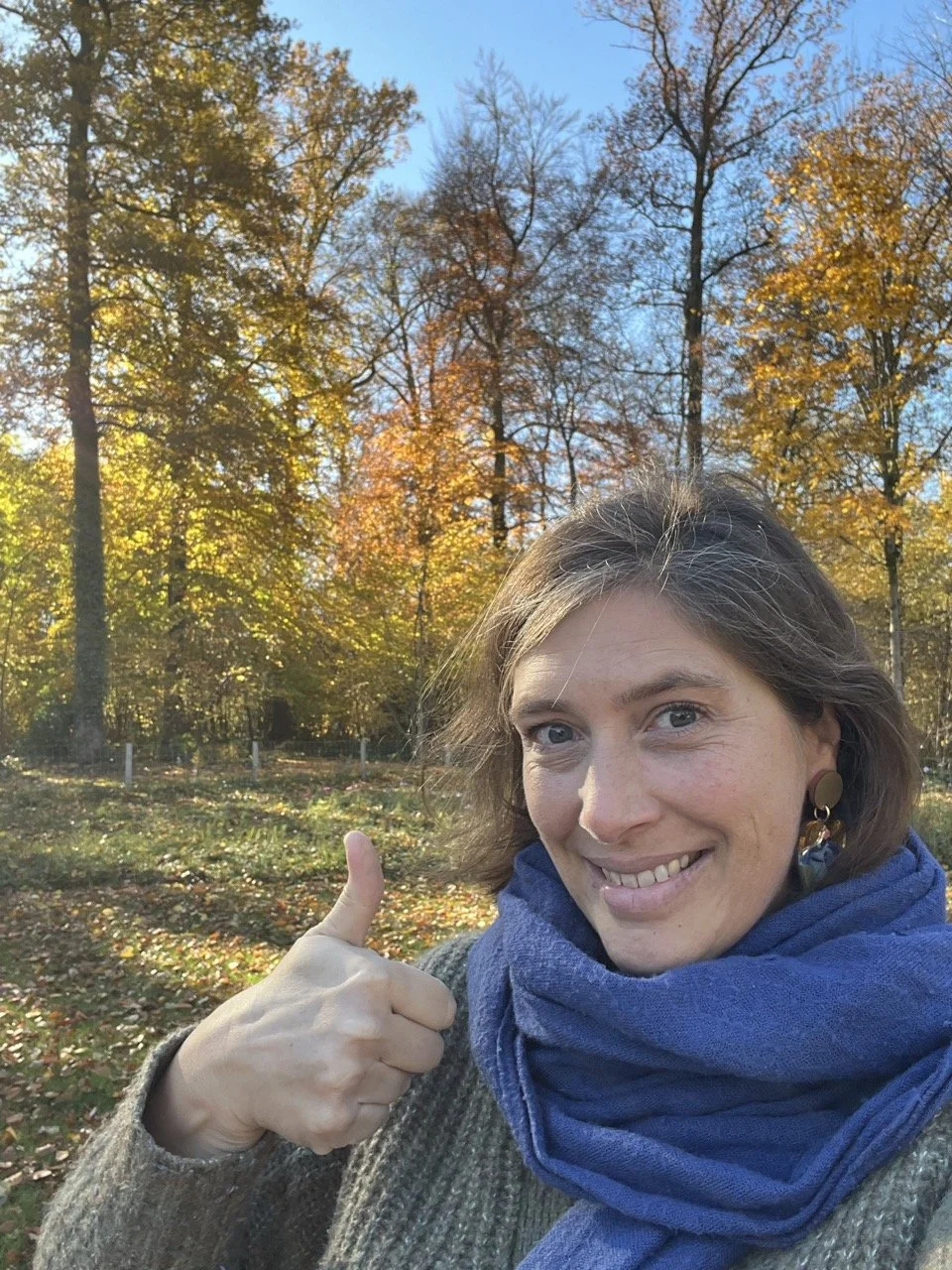 La fatigue de l'automne n'est pas un échec, on peut ralentir avec le journal craétif