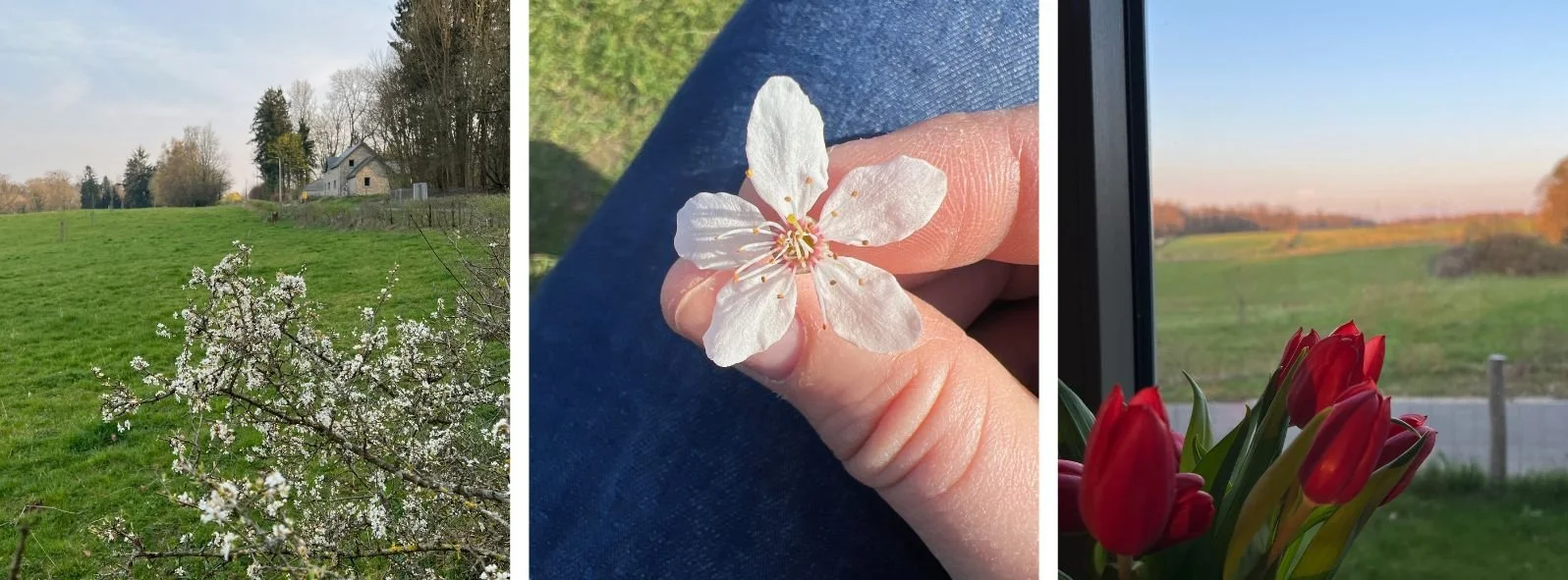 3 images qui montrent le chalet de Passeport pour Soi au printemps. Situé à Tavier, dans le Condroz liégeois, au printemps, c'est la vue sur les champs, les bois et les fleurs qui donnent envie d'y passer du temps