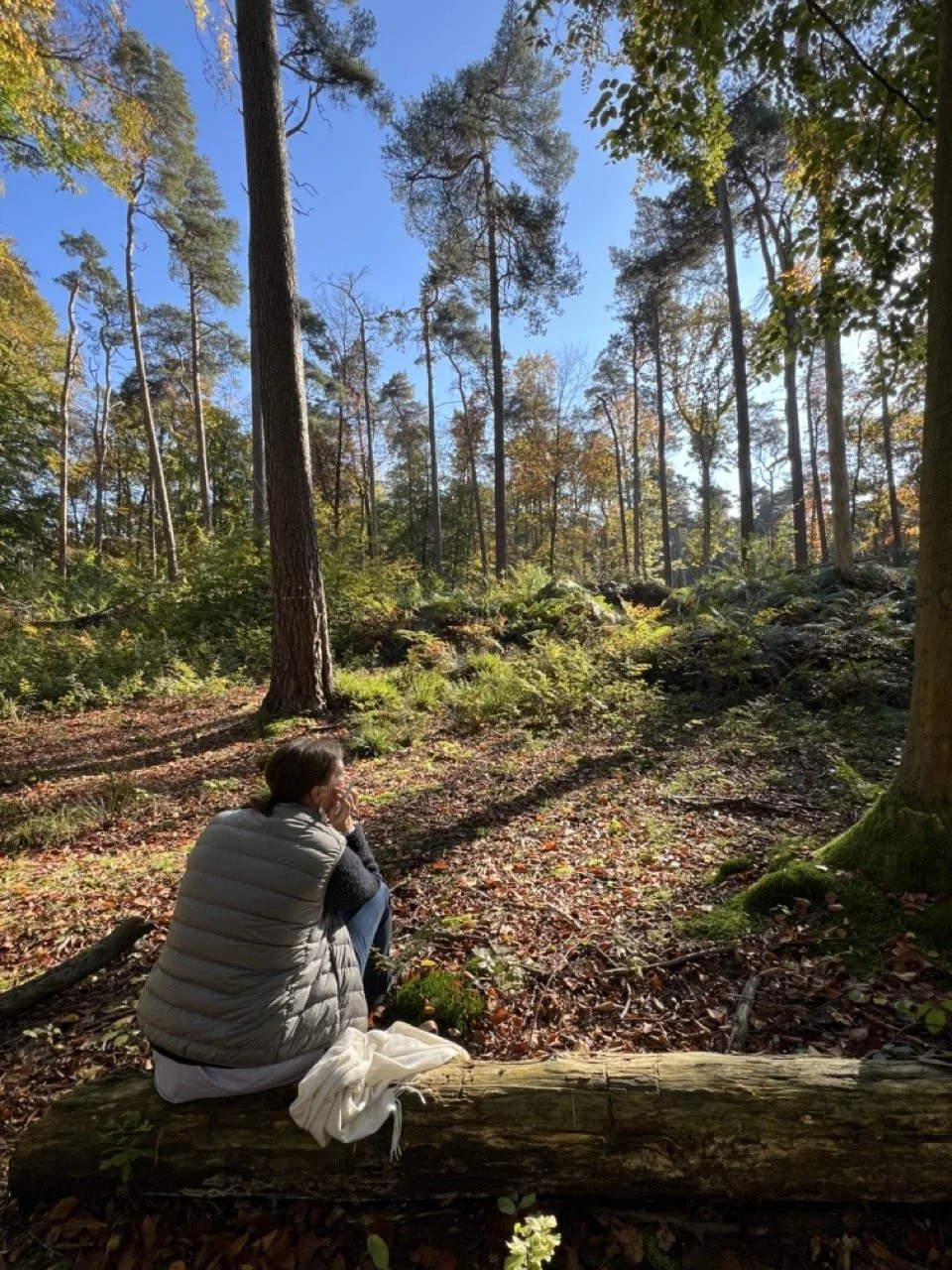 Julie adore aller se balader en forêt l'automne pour faire du journal créatif