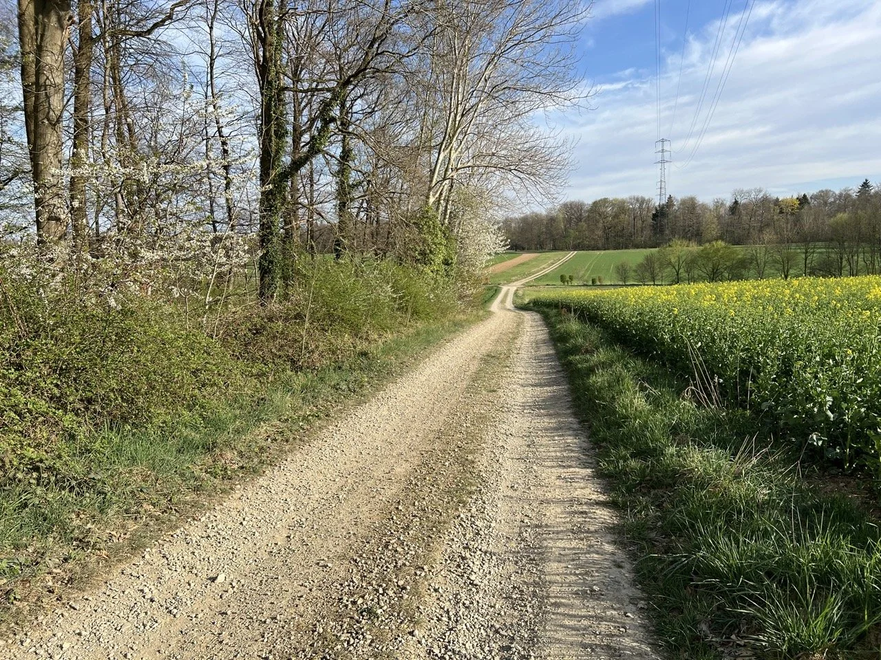 CHemin Condroz Xhos au printemps .jpeg
