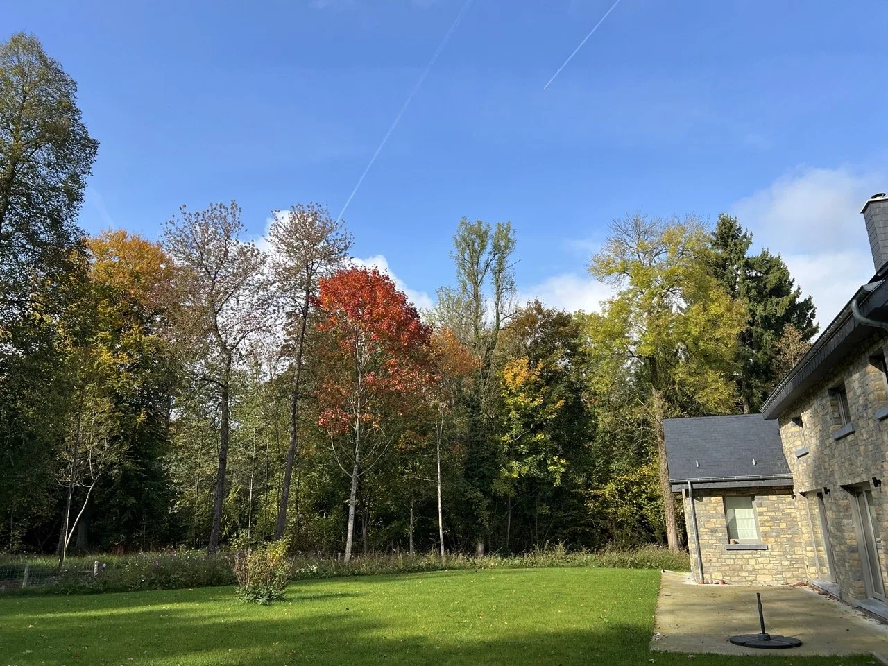 xhos tavier chalet automne 7.jpeg