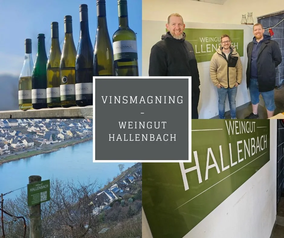 Vinsmagning
