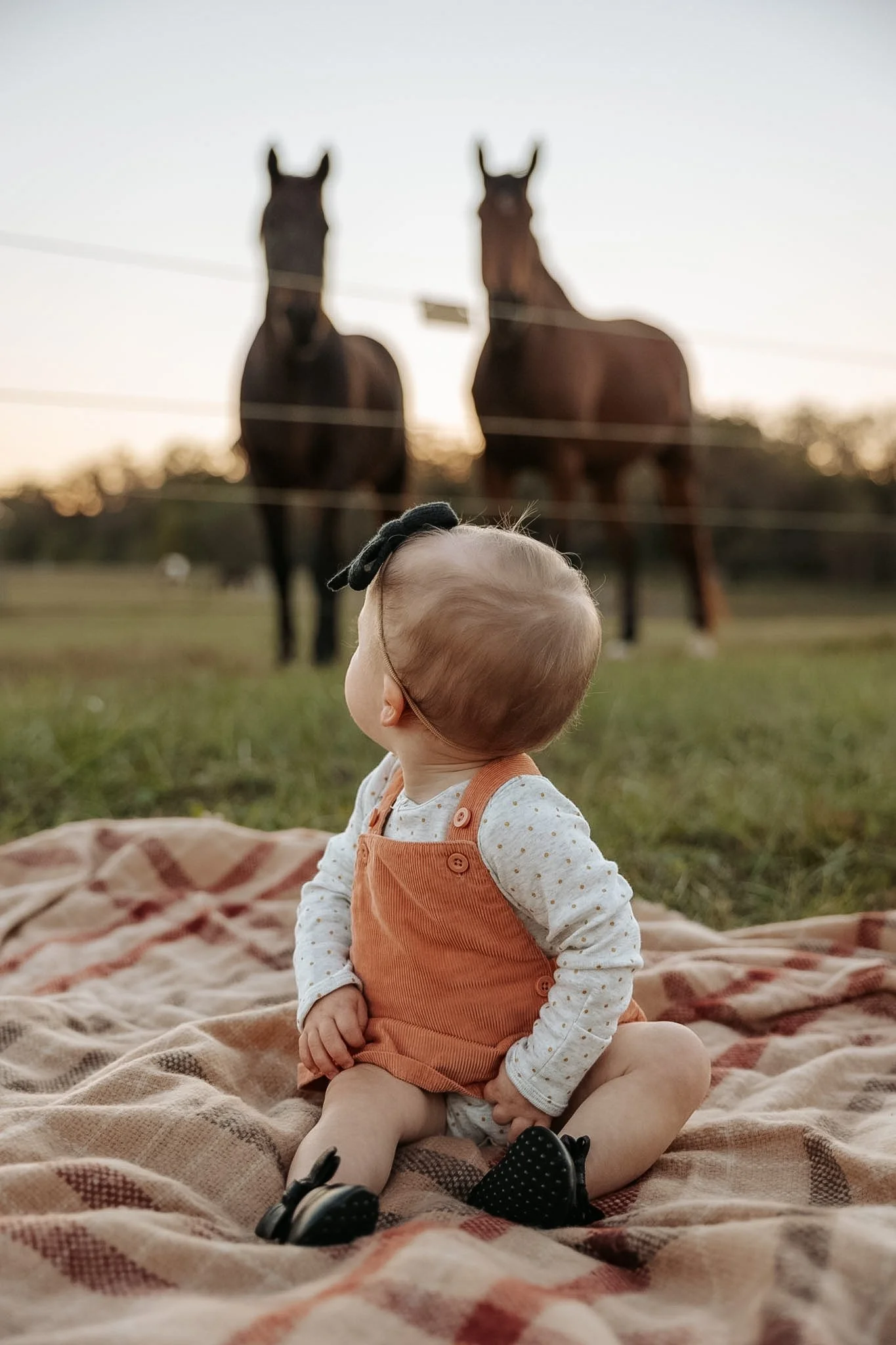 A baby sitting on a blanket outdoors, facing two horses in the distance during sunset.