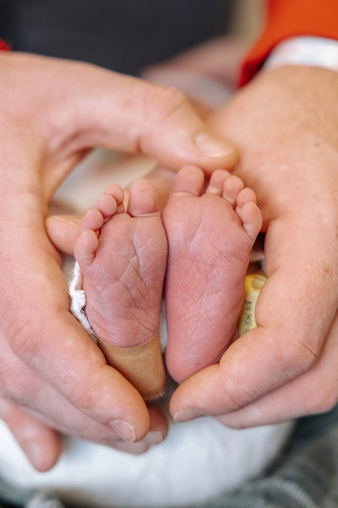 Close-up of an adult's hands gently holding the tiny feet of a newborn baby.
