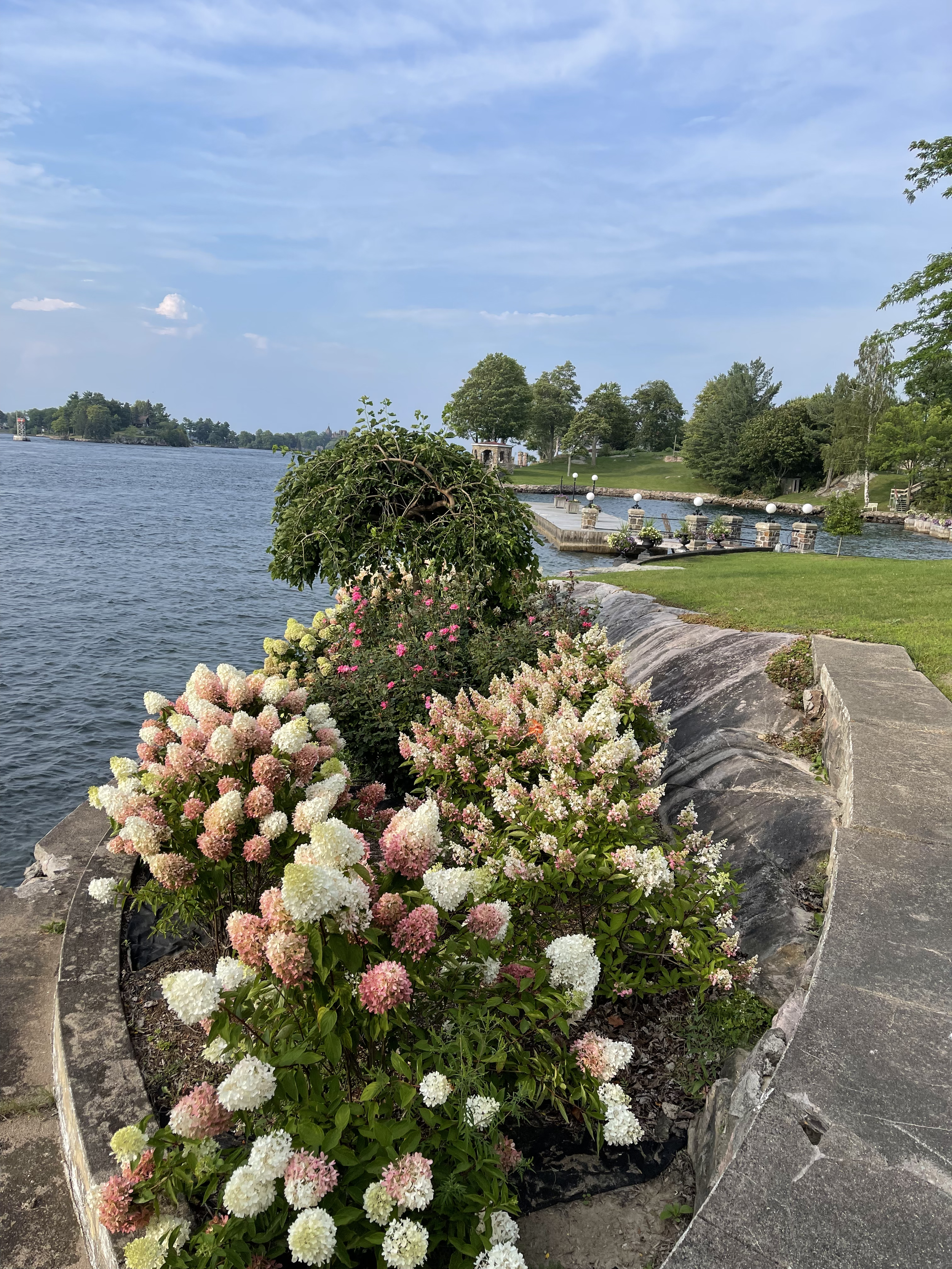 IMG_9725.png