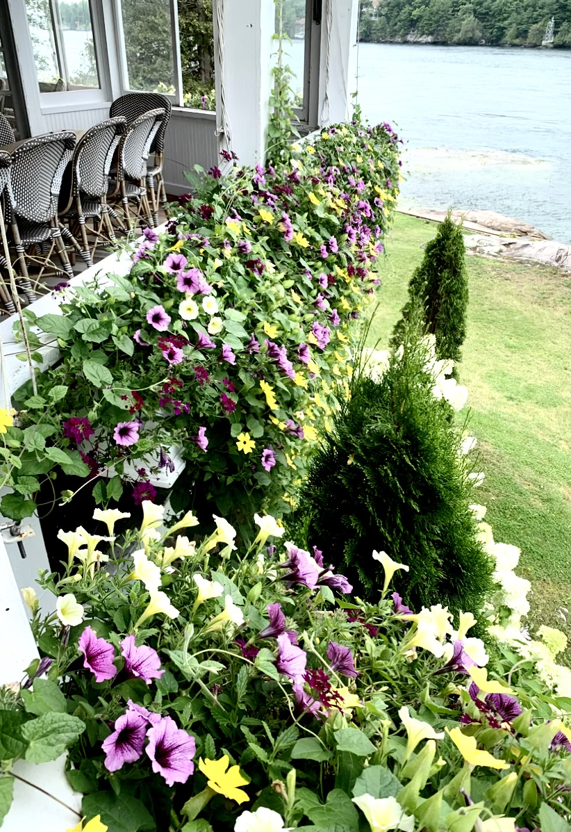 IMG_9807.png