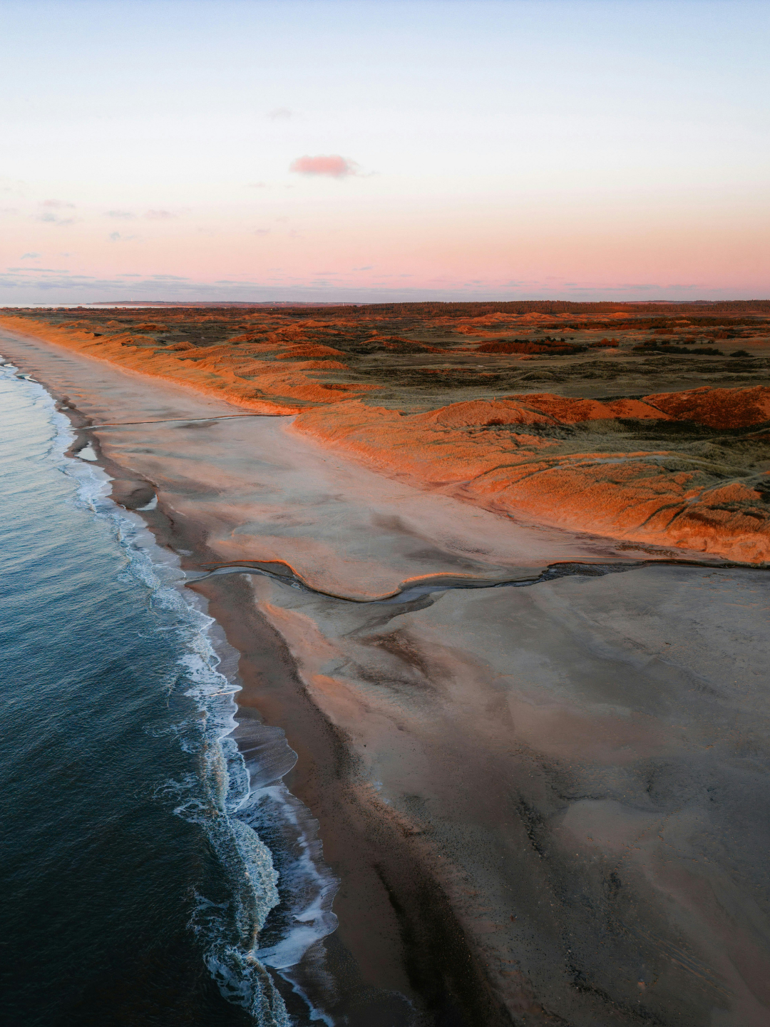 V. Williams, Songs of Travel, lied concert