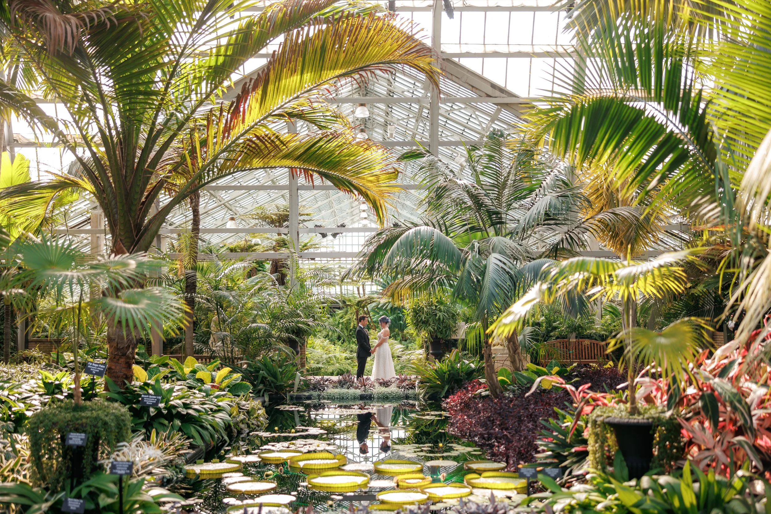 A couple in wedding attire standing in a lush indoor tropical garden with large green palm leaves and water lilies, reflecting in a pond.