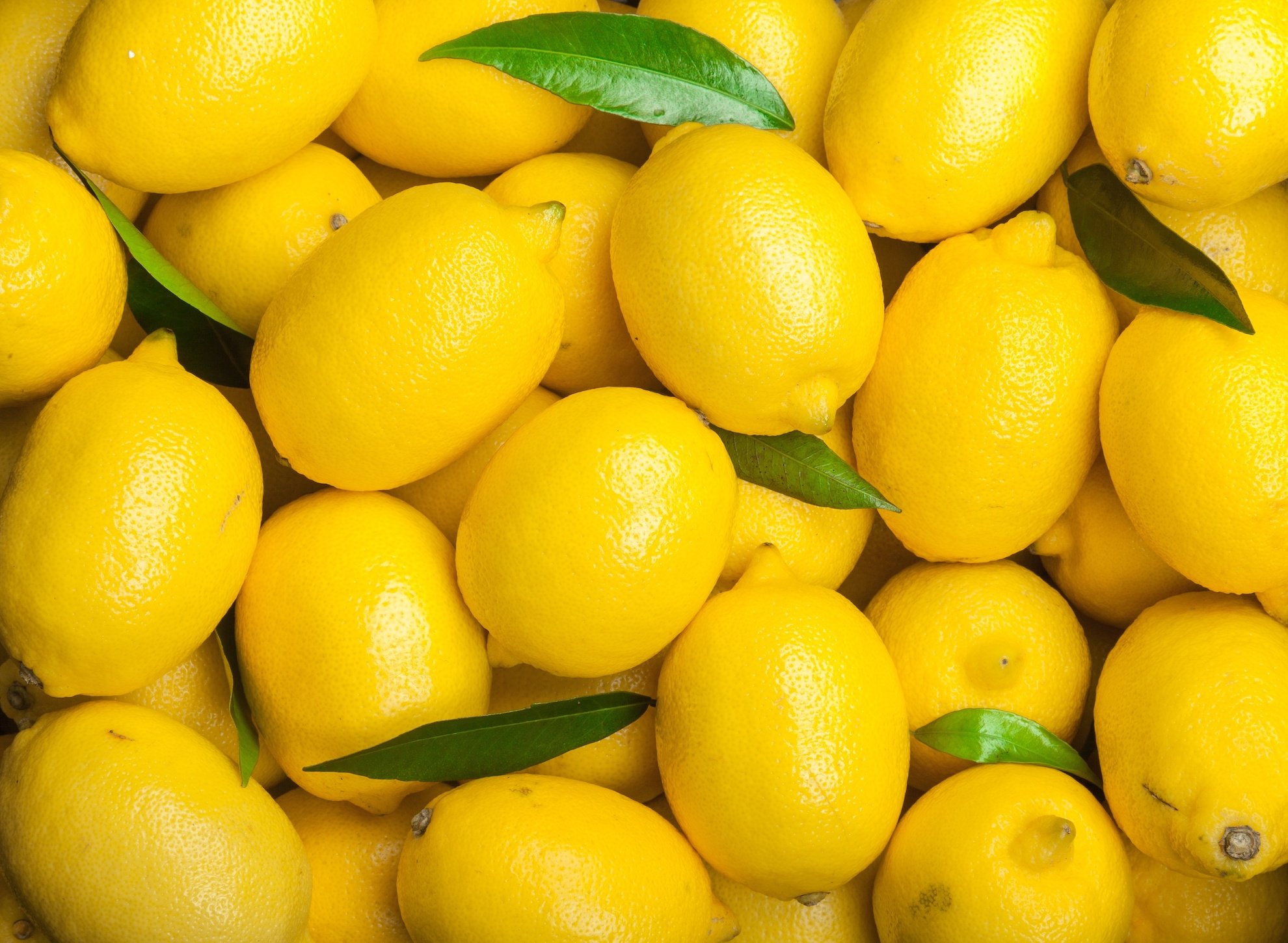 AdobeStock_222132175.jpeg