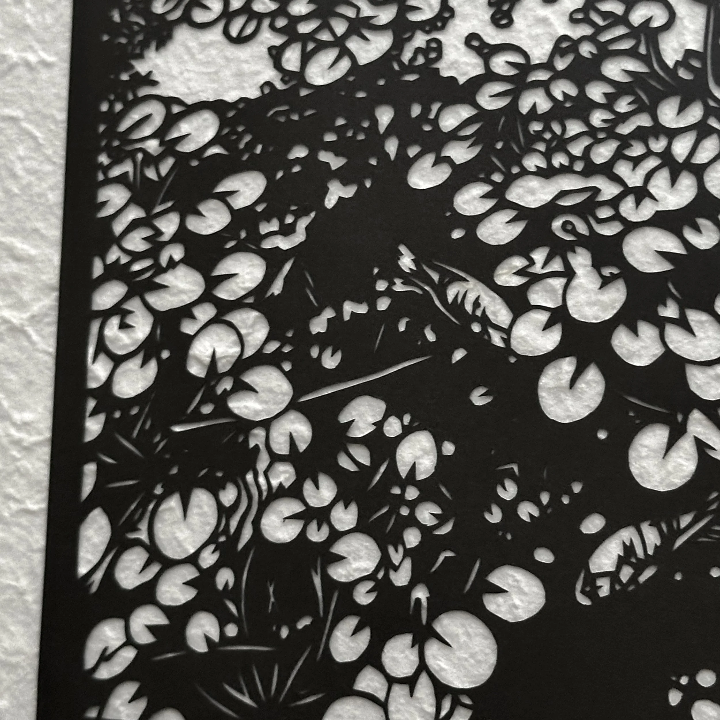 Koi & Lily